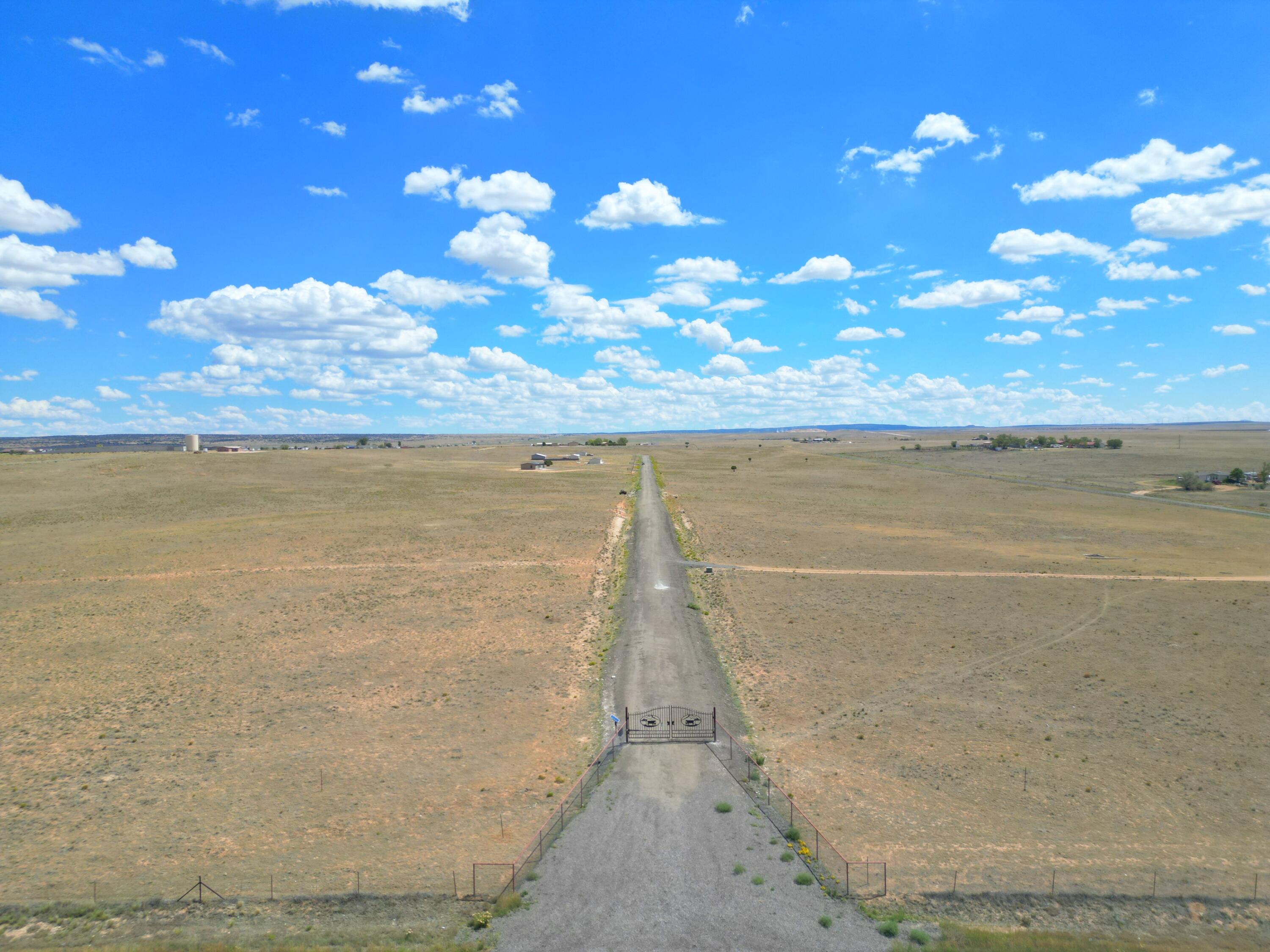 Photo 5 — 91 Cattle Loop