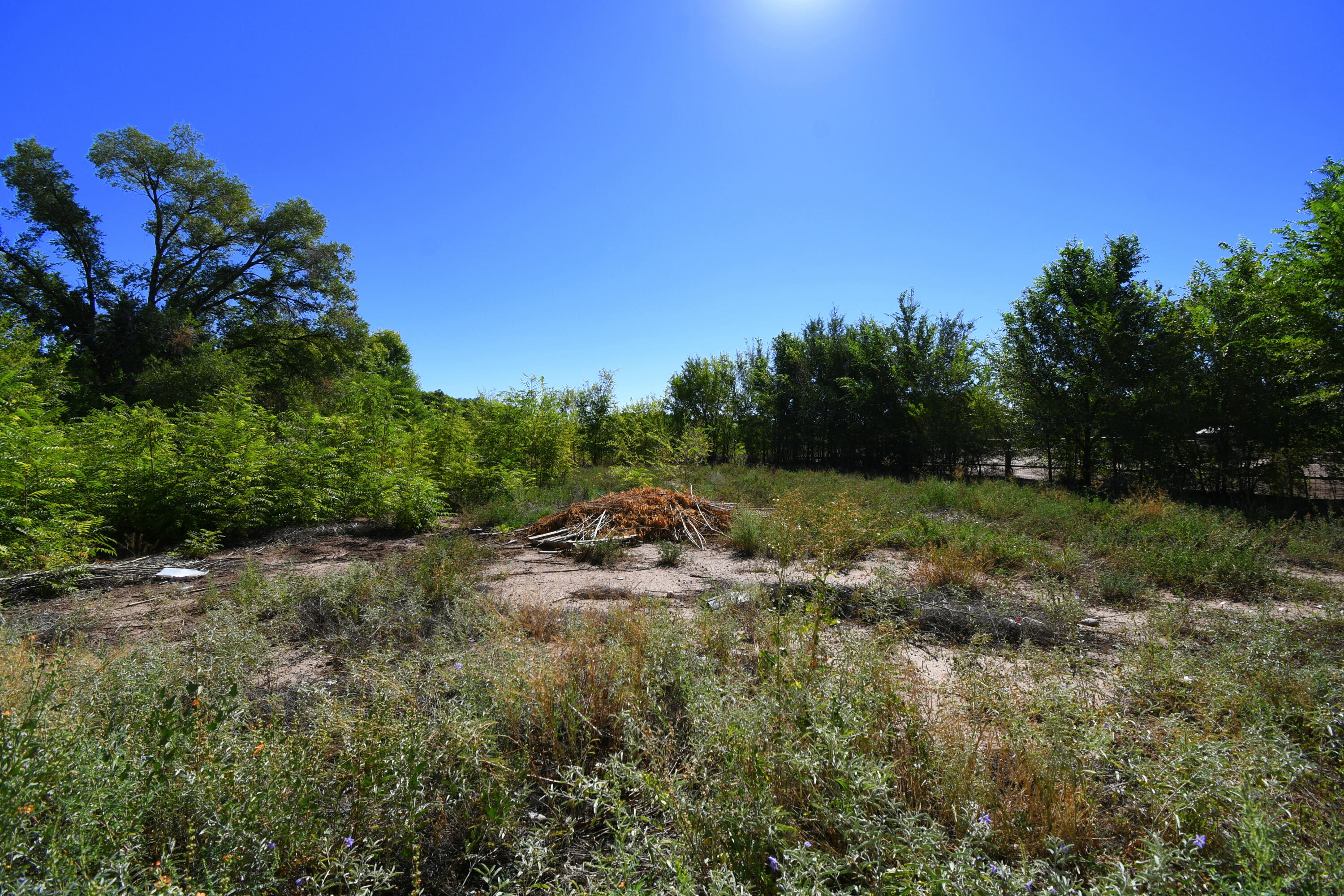 Photo 11 — 5100 Isleta Boulevard SW