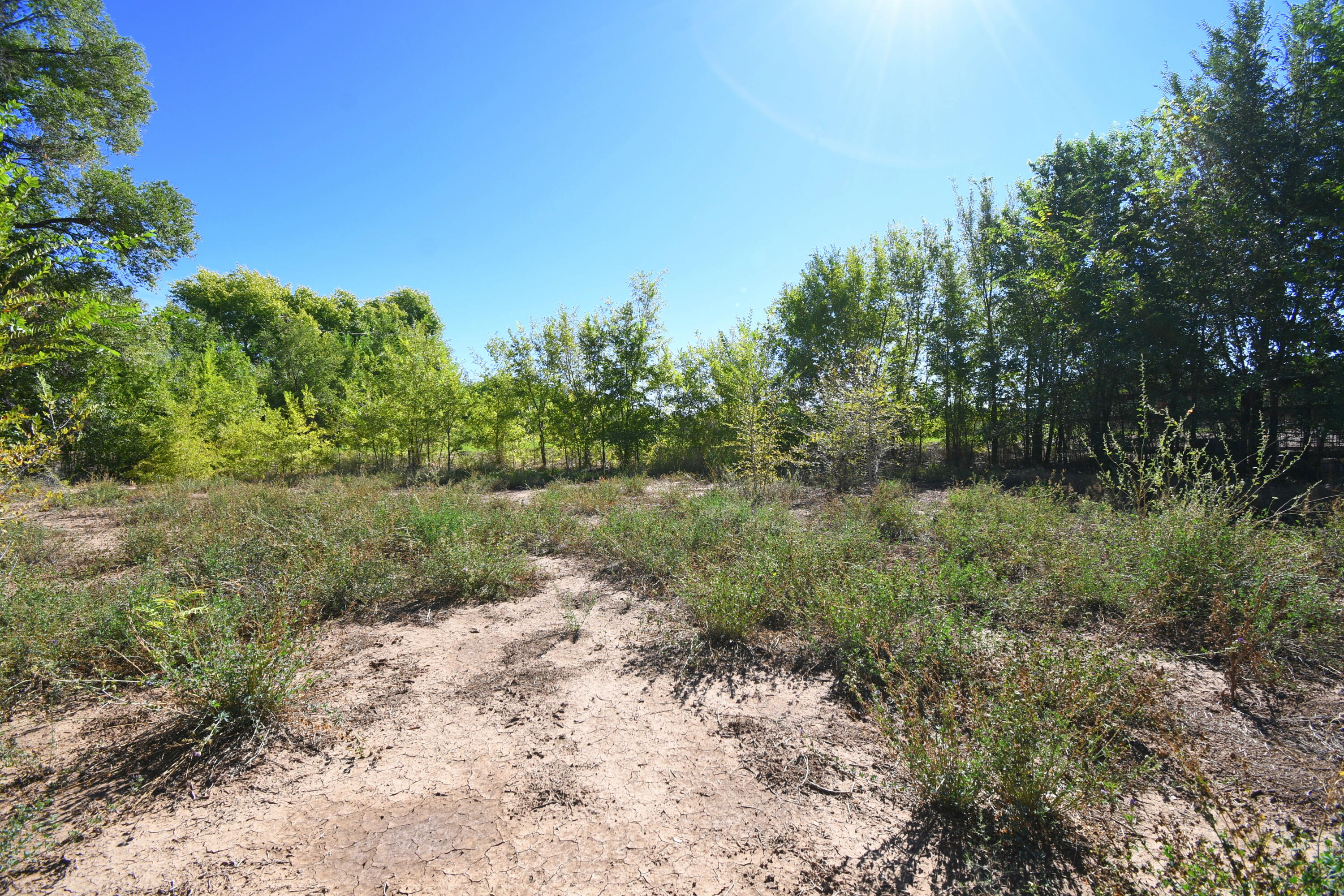 Photo 10 — 5100 Isleta Boulevard SW