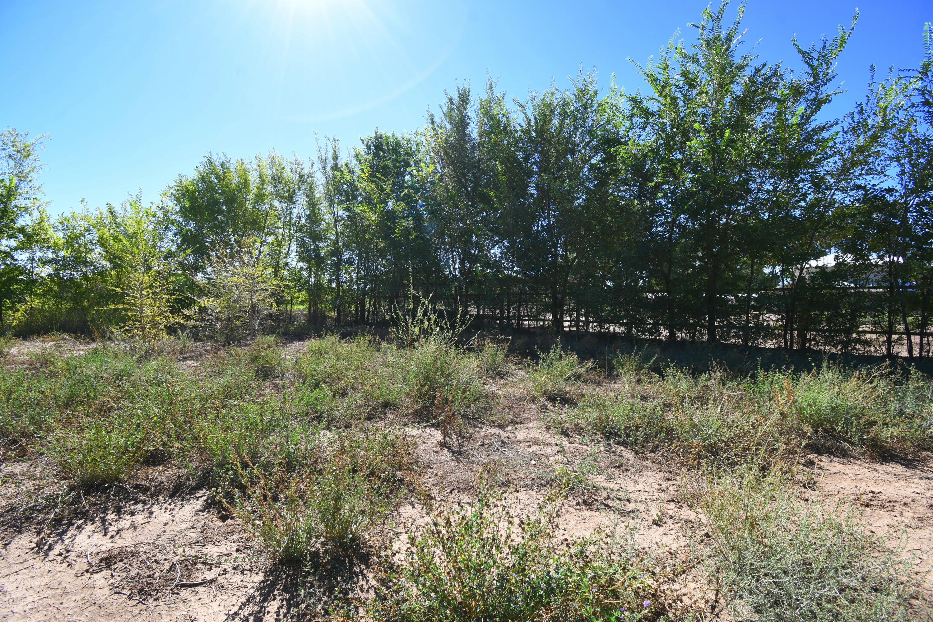 Photo 9 — 5100 Isleta Boulevard SW