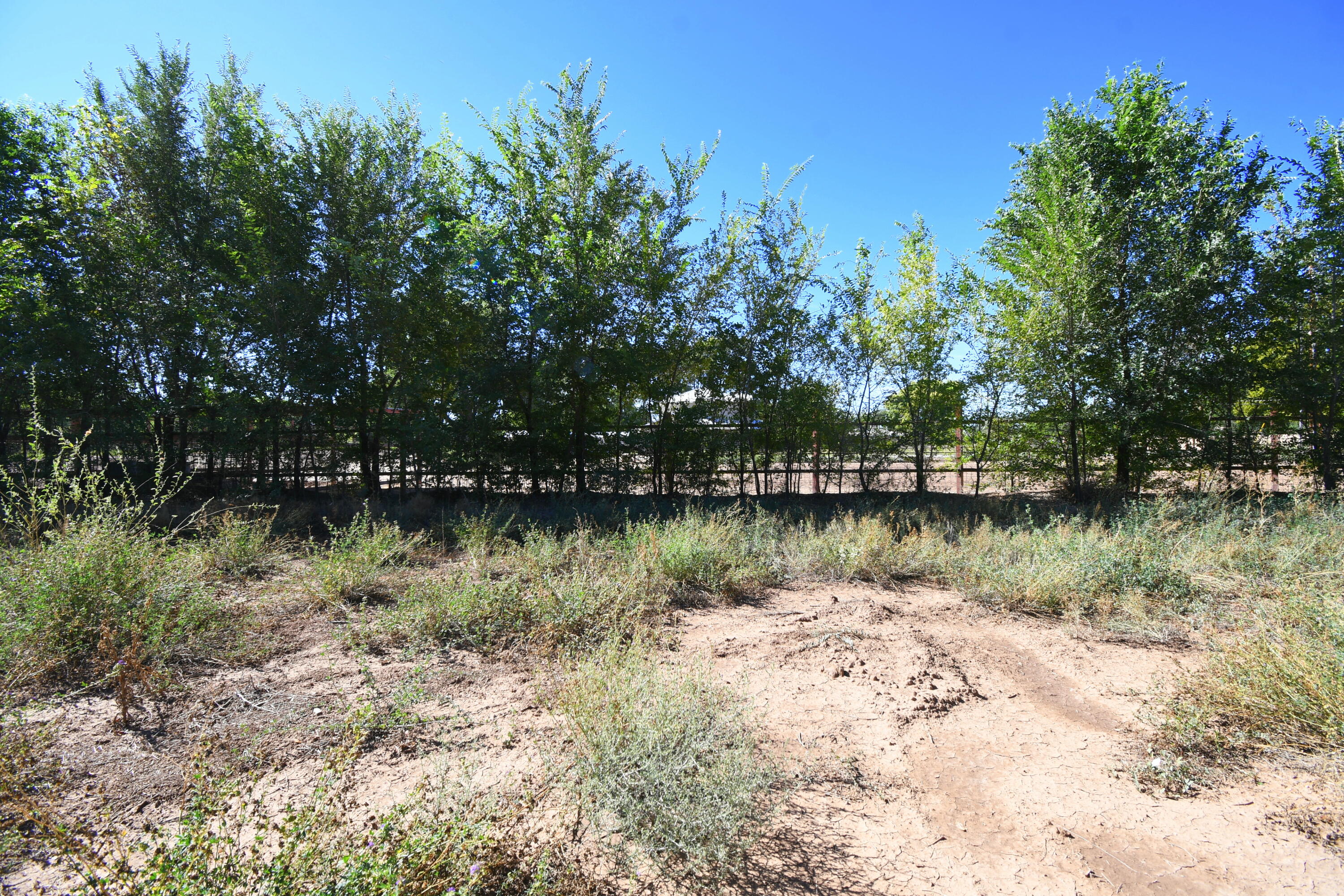 Photo 8 — 5100 Isleta Boulevard SW