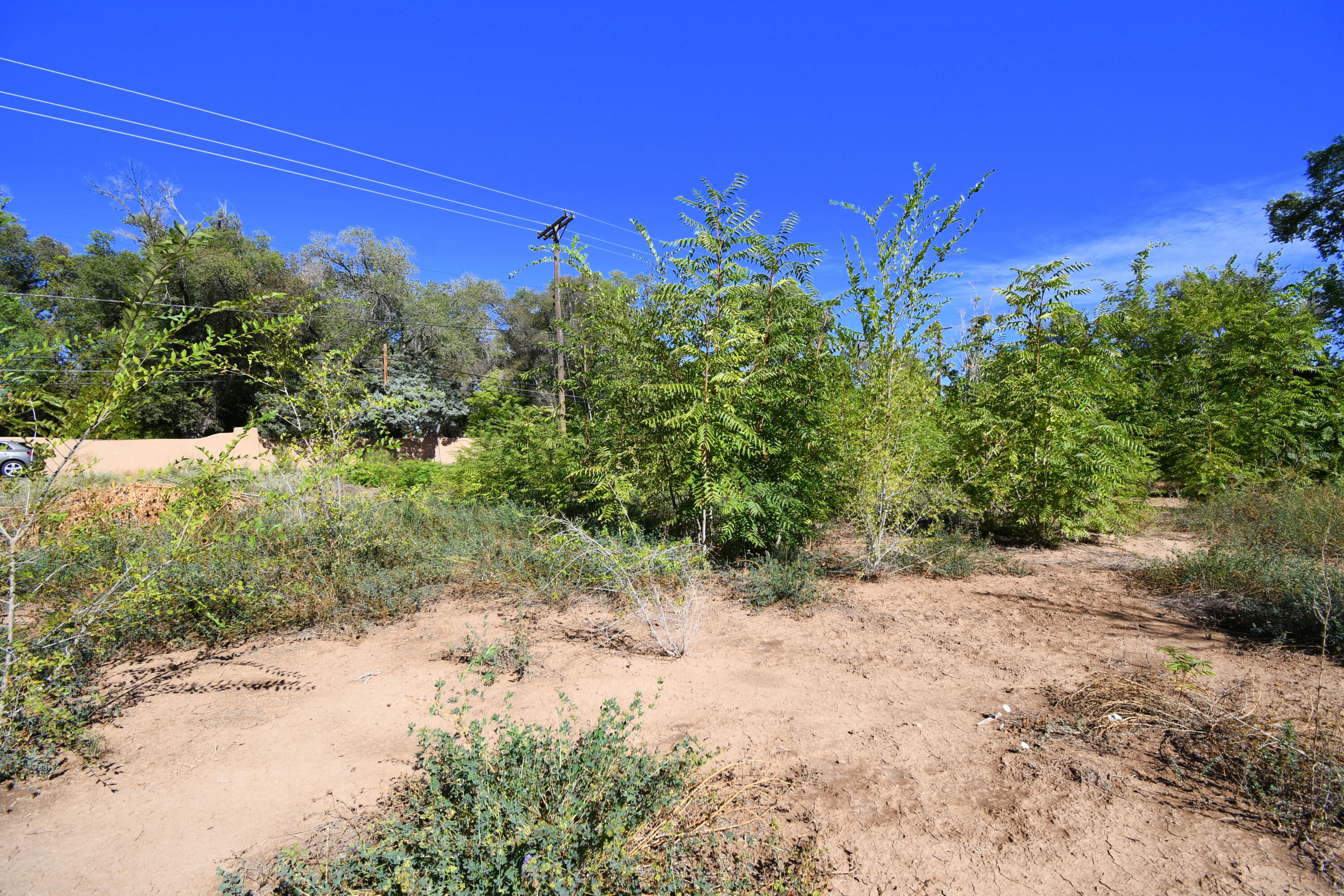 Photo 5 — 5100 Isleta Boulevard SW