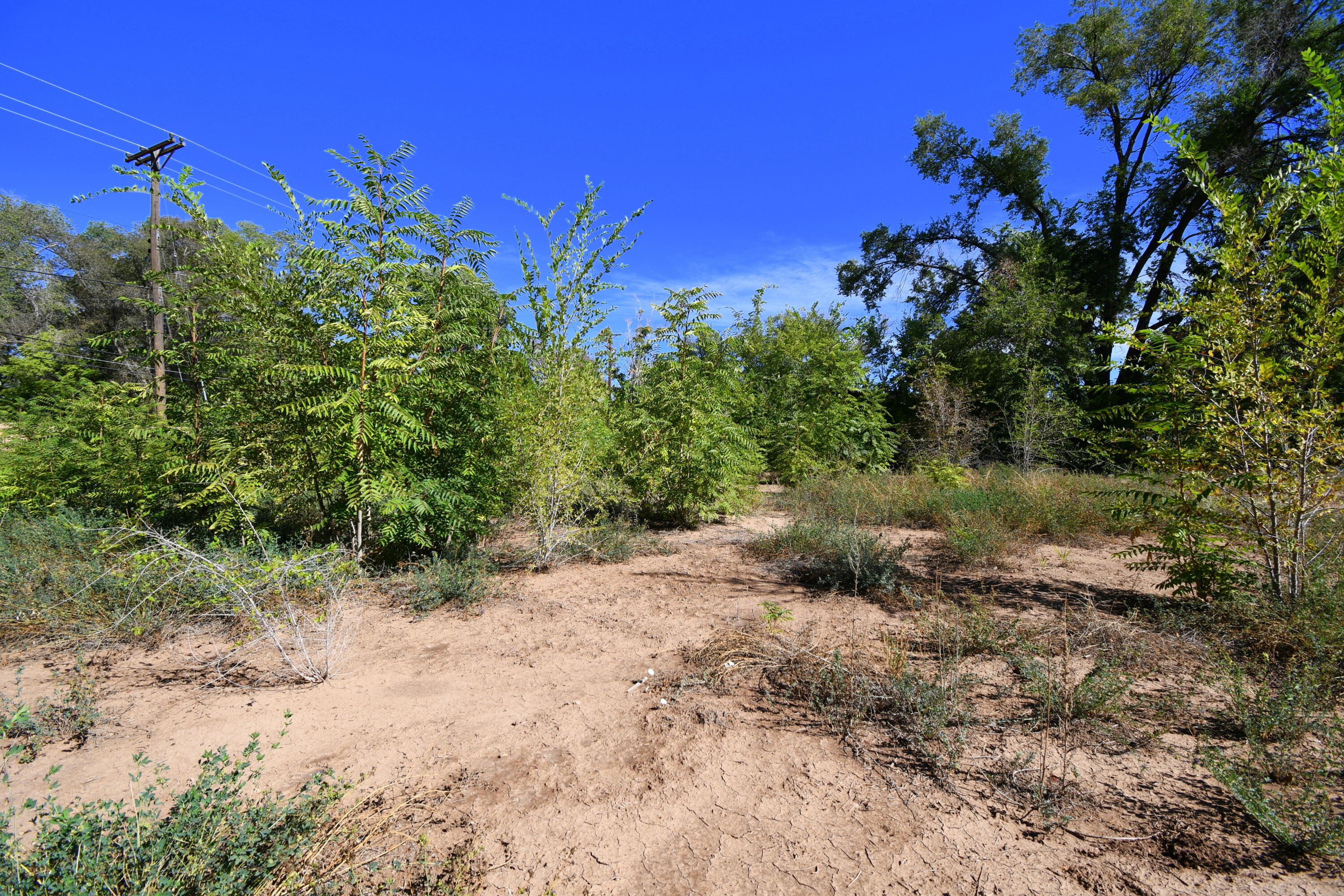 Photo 4 — 5100 Isleta Boulevard SW