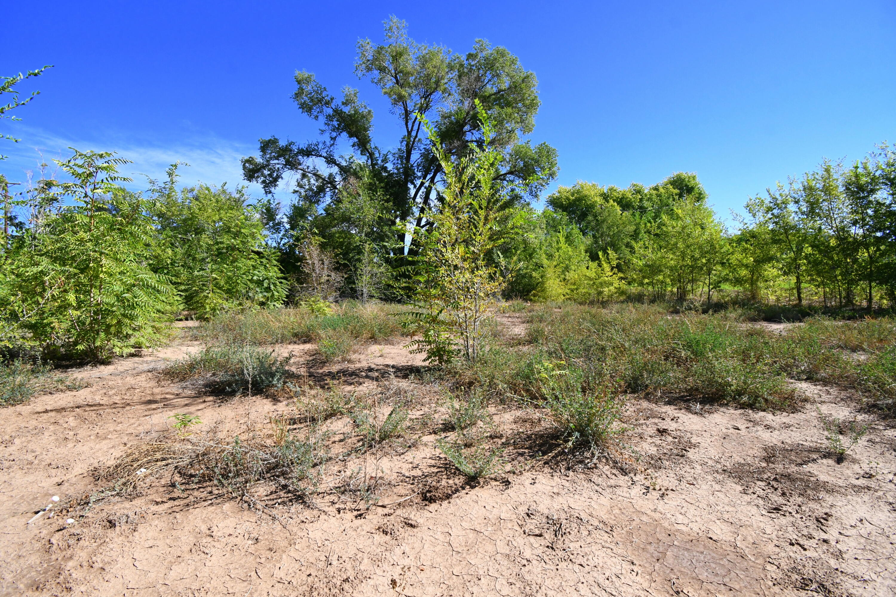 Photo 3 — 5100 Isleta Boulevard SW