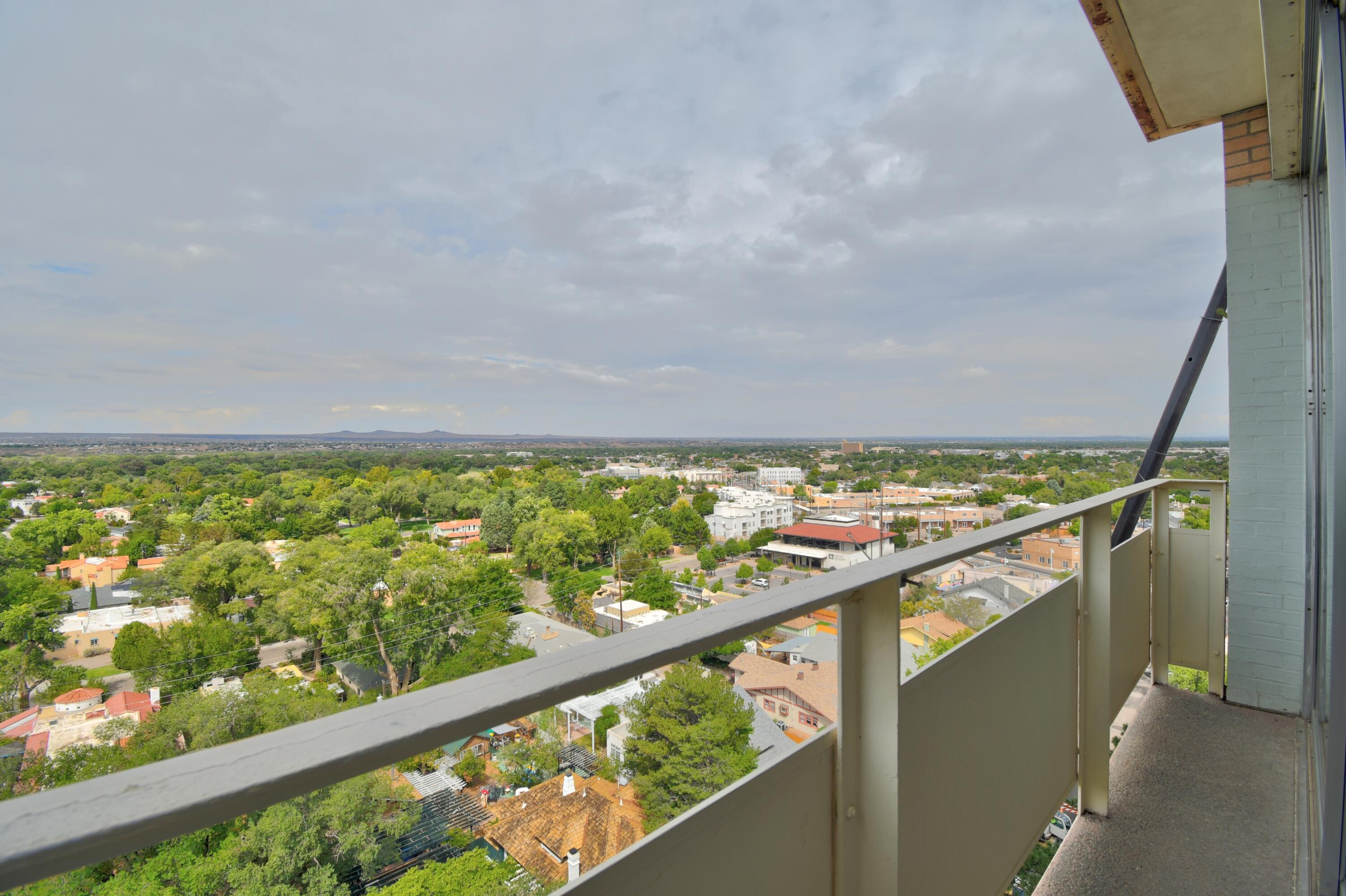 Photo 10 — 1331 Park Avenue SW UNIT 1204