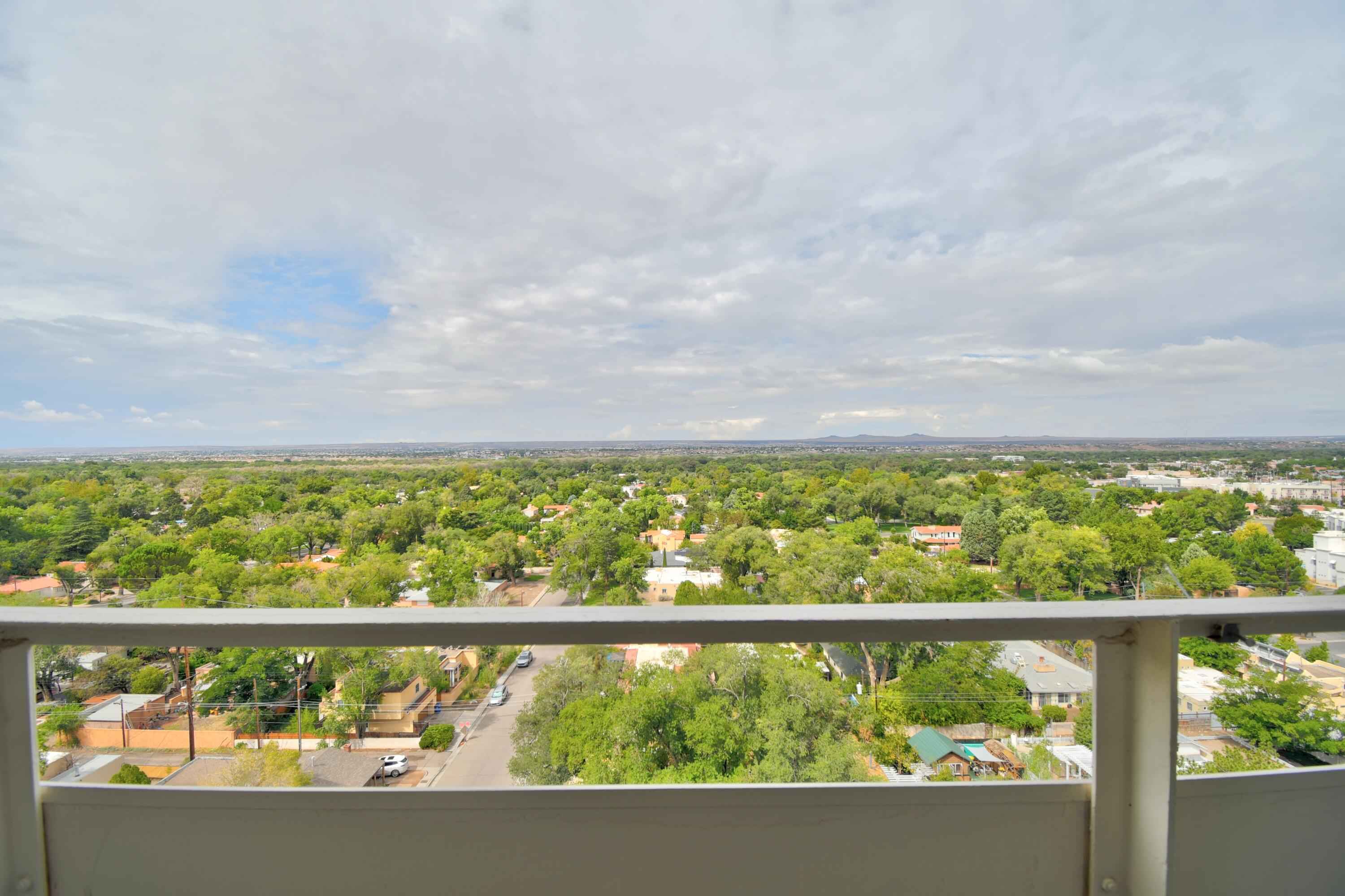 Photo 20 — 1331 Park Avenue SW UNIT 1204