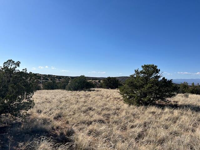Photo 4 — 237 Meadows Road