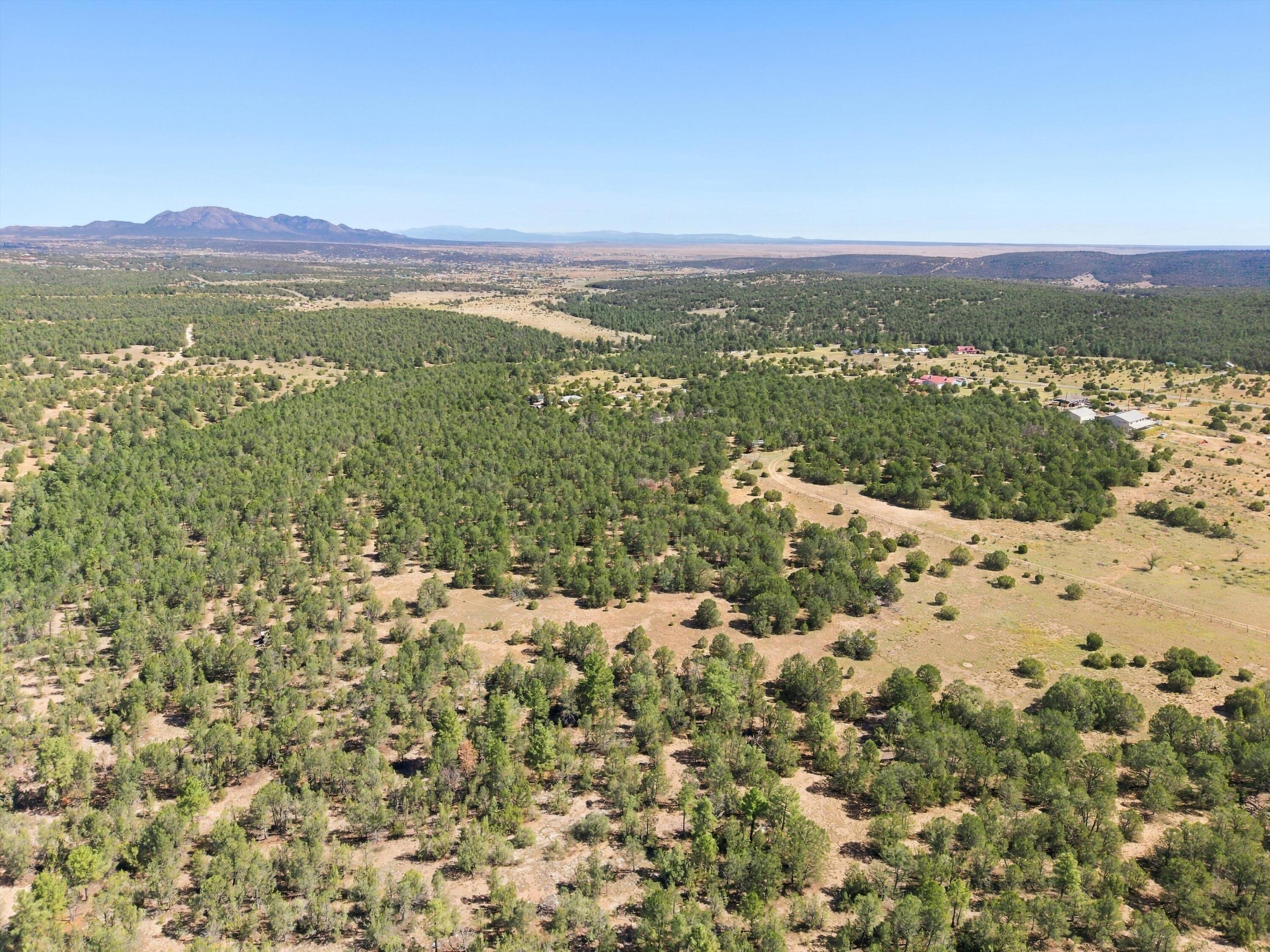 Photo 10 — 525 Nm 217