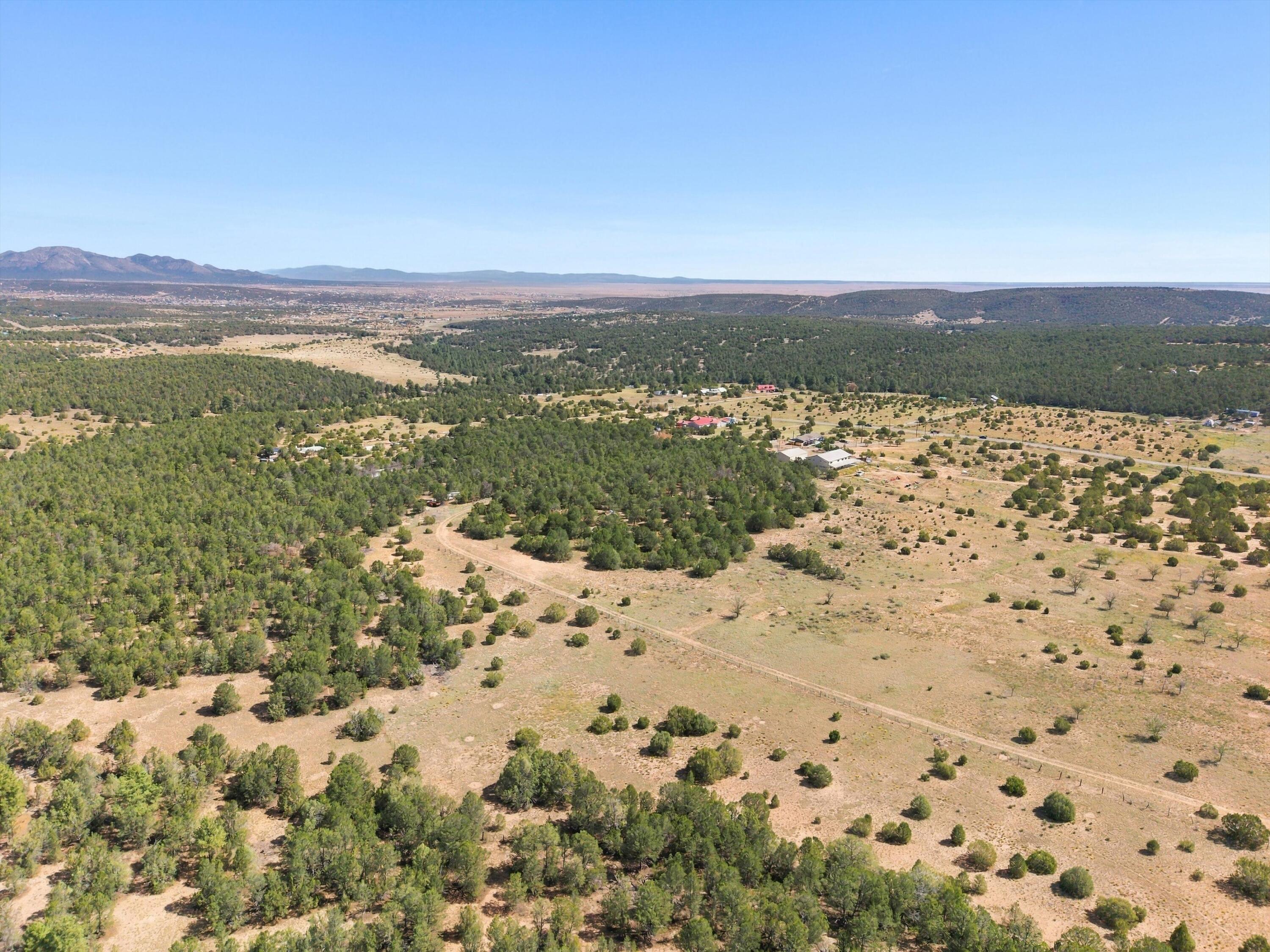 Photo 14 — 525 Nm 217