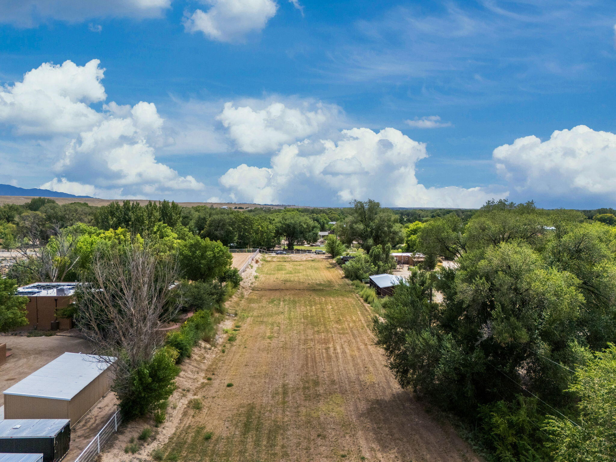 Photo 6 — 99 Molina Road