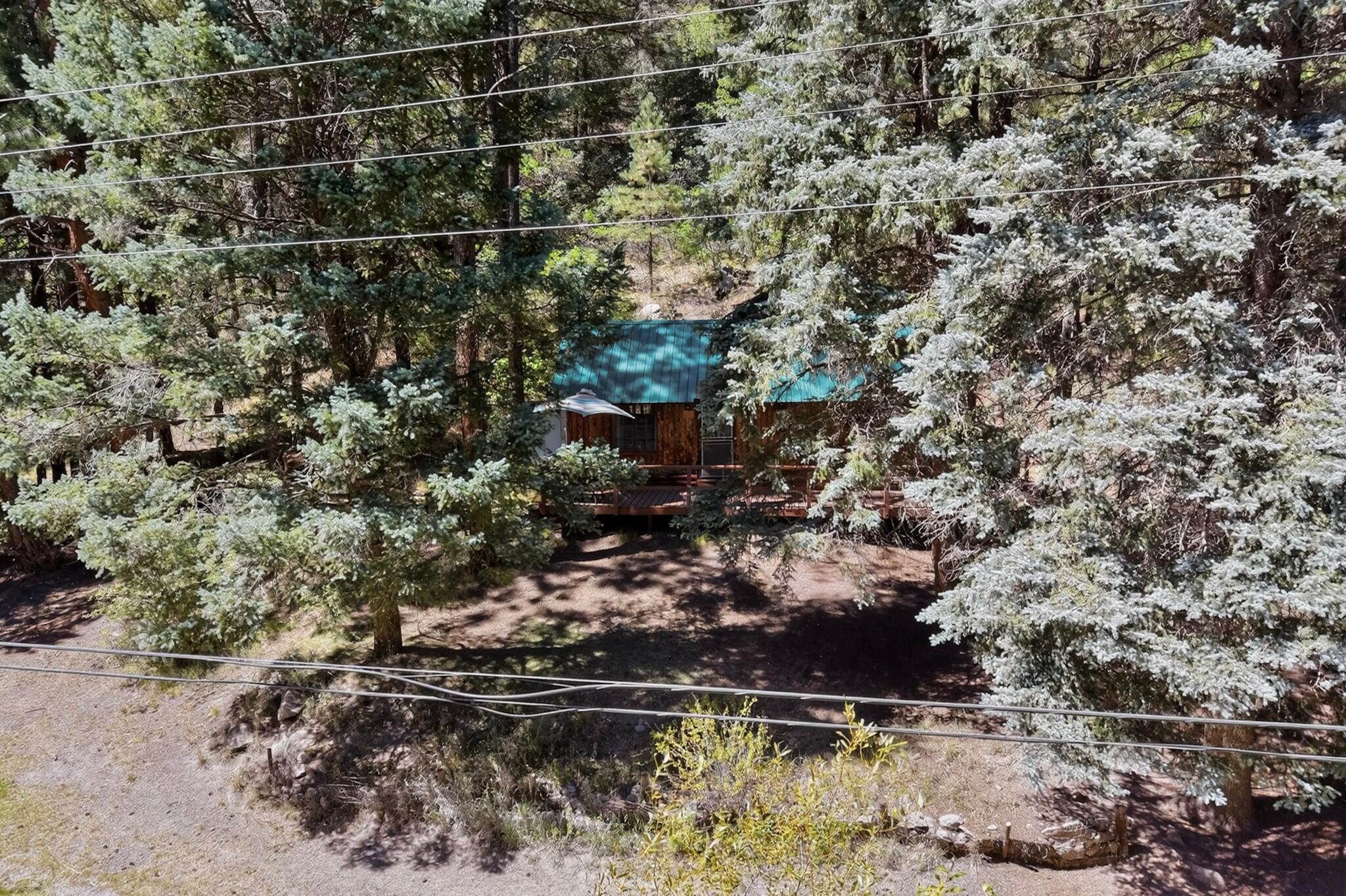 Photo 8 — 64 Argo Lane
