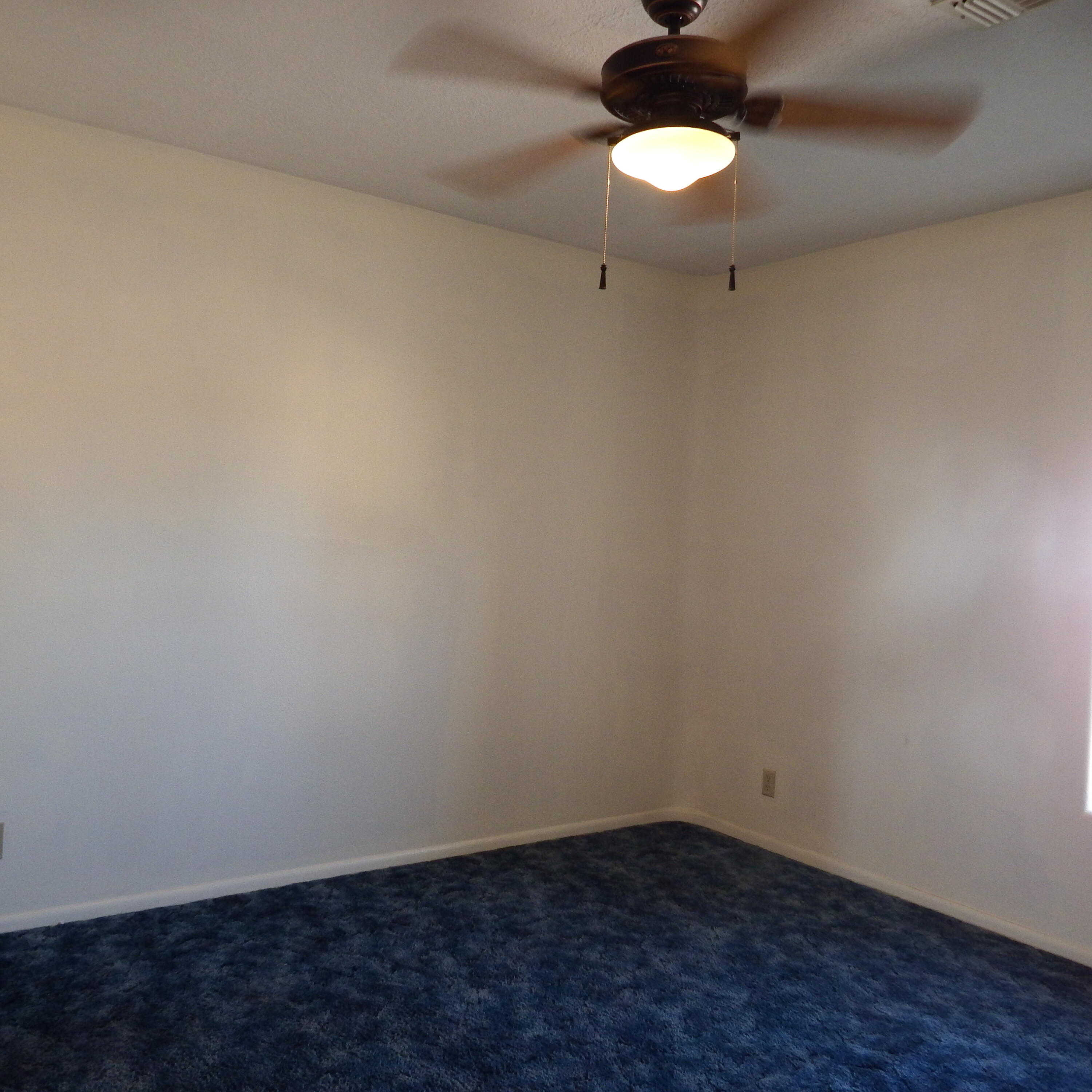 Photo 4 — 514 Terry Avenue