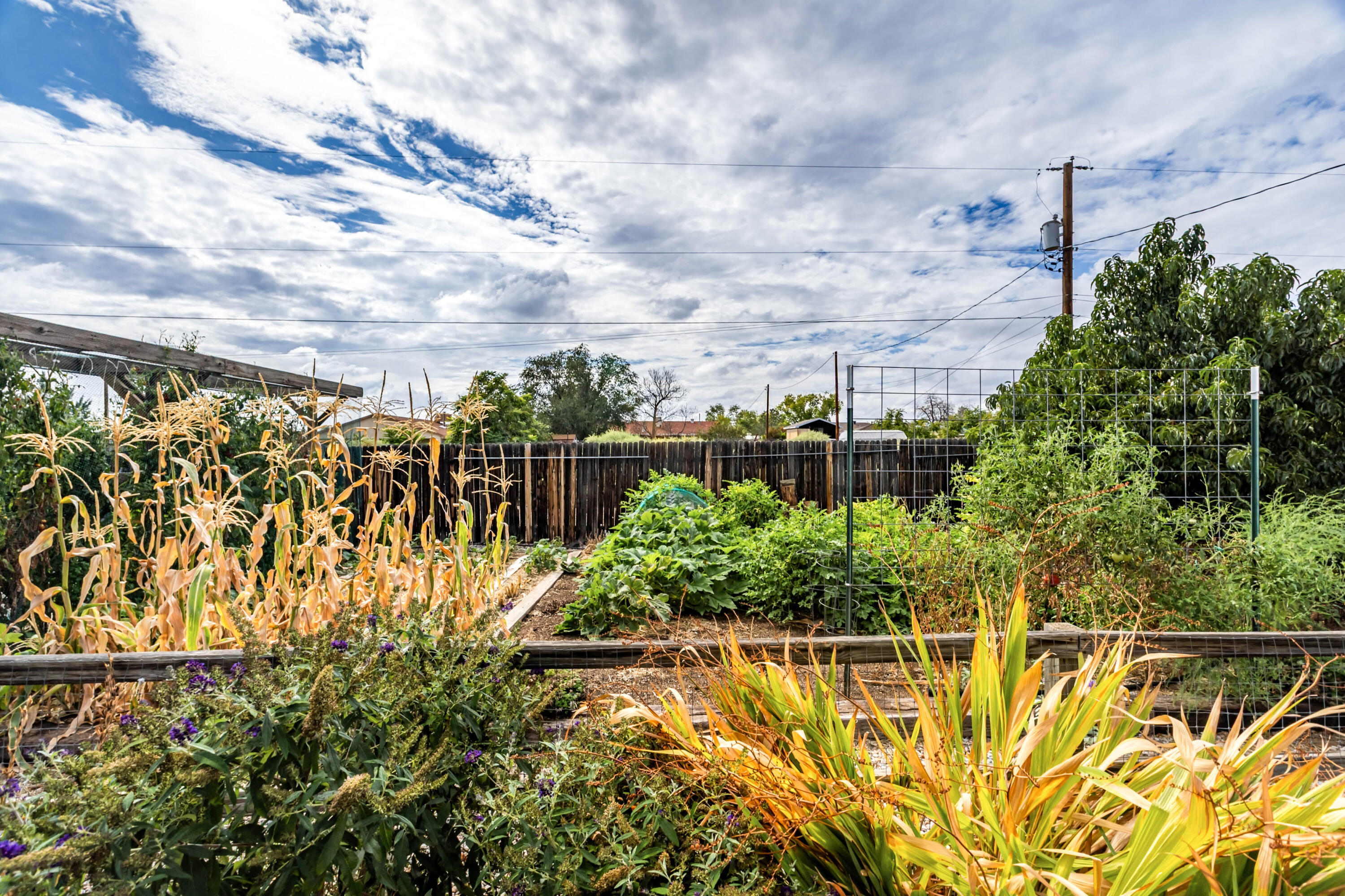 Photo 3 — 1805 33rd Street SE