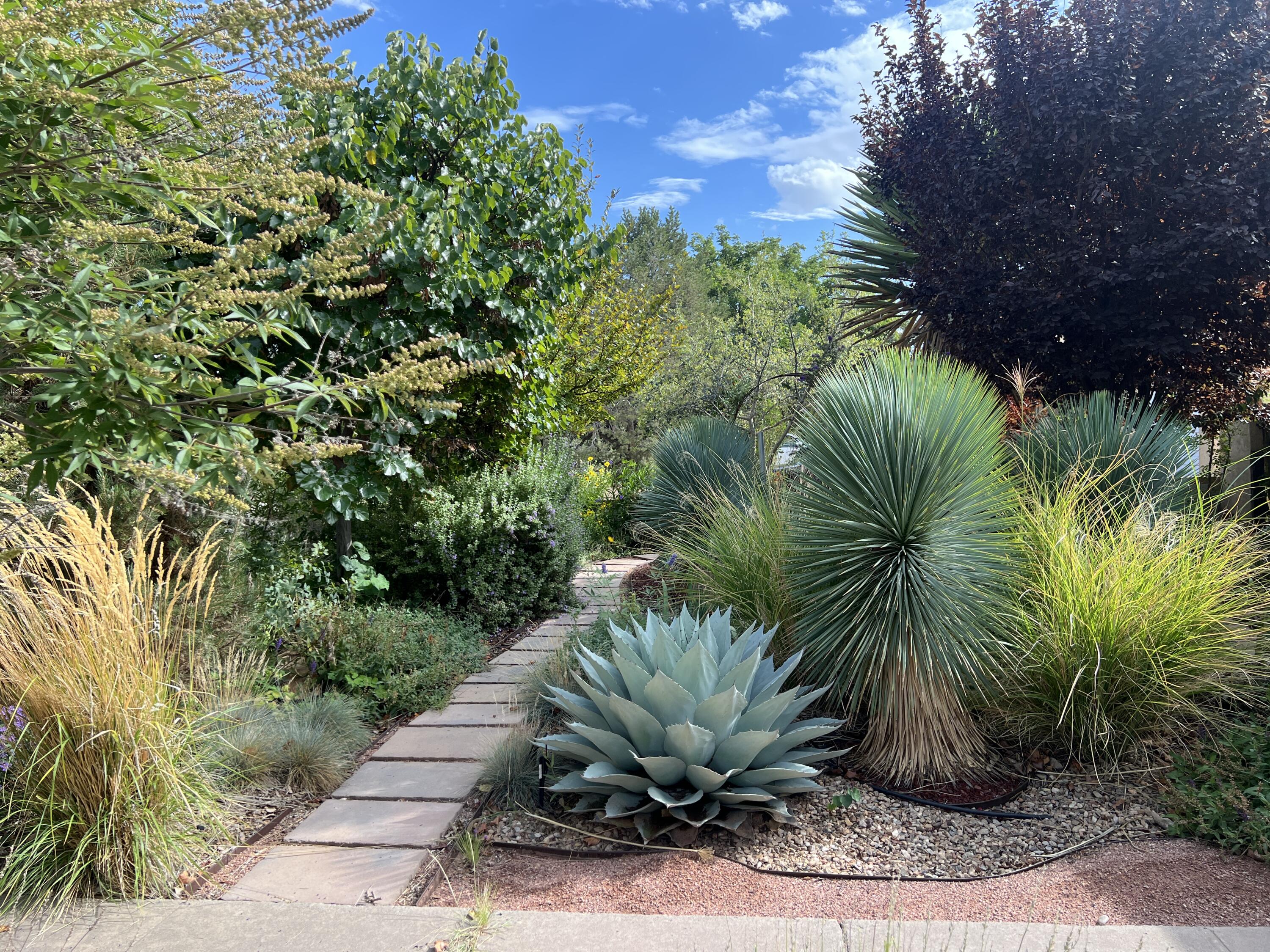 Photo 18 — 925 Quincy Street NE