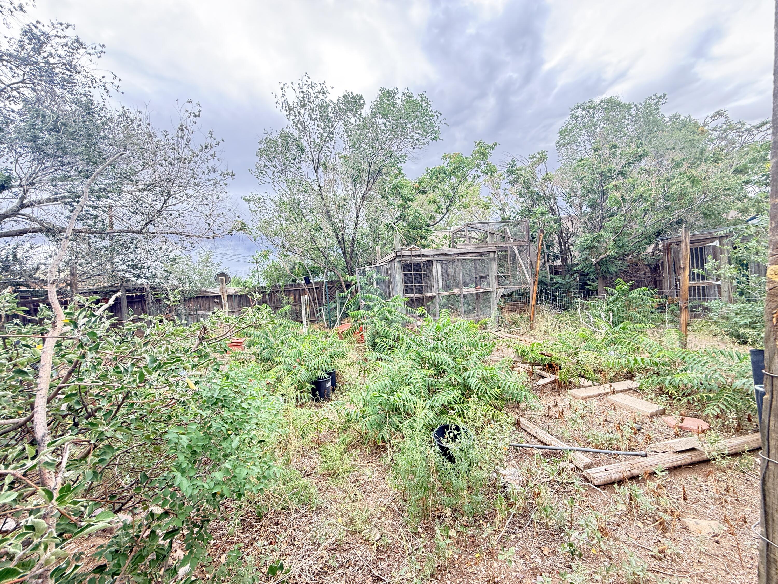 Photo 12 — 600 Second Street