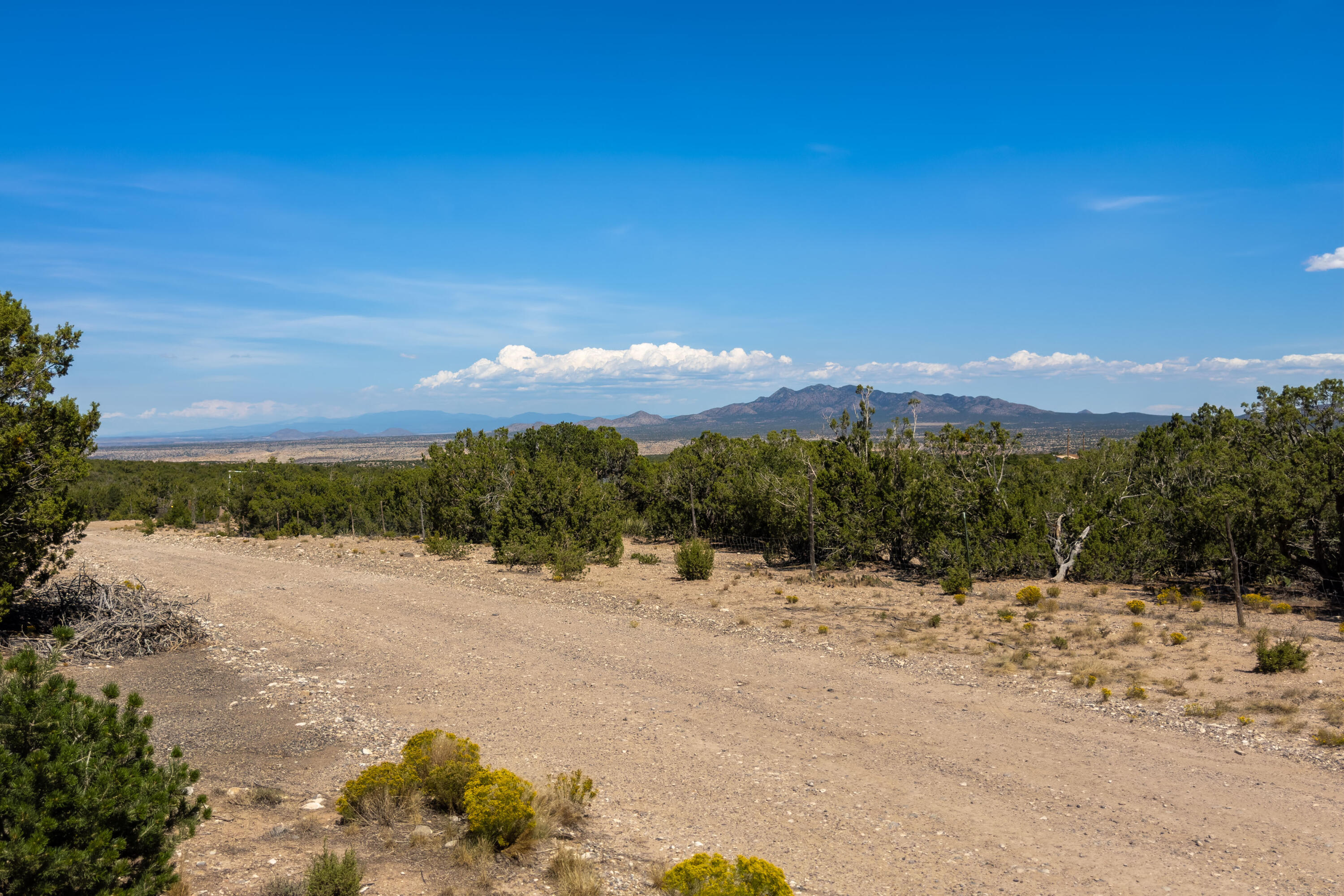 Photo 9 — 548 Gunsmoke Road