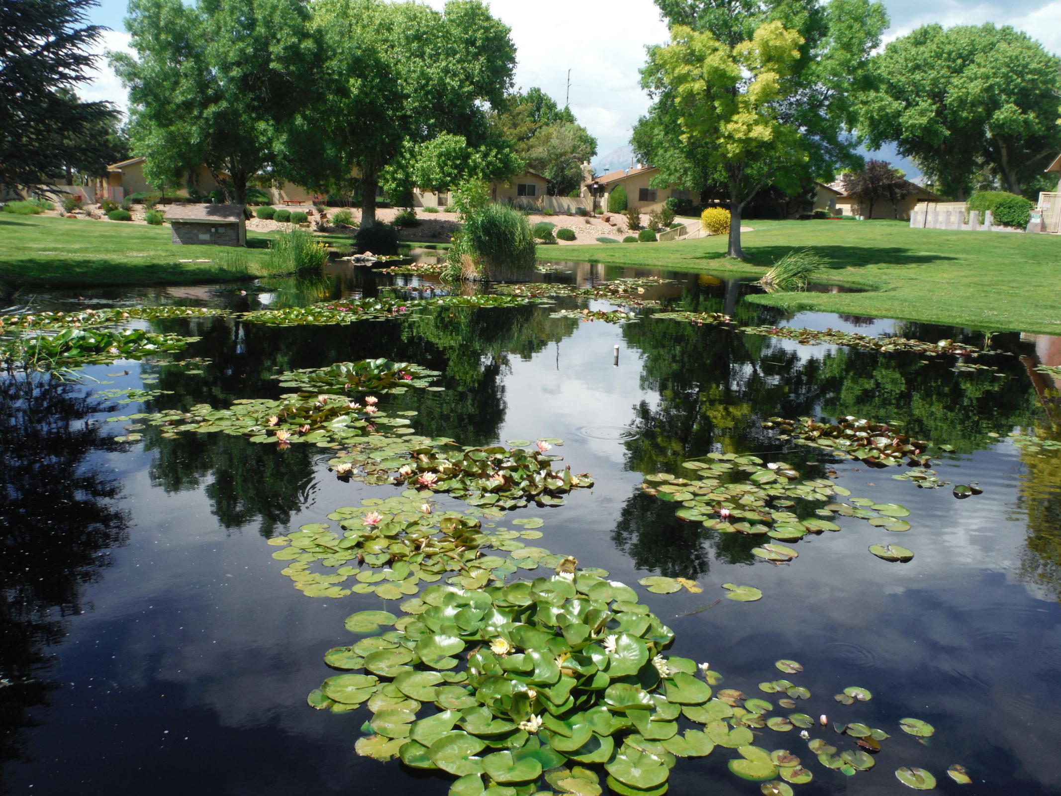 Photo 19 — 10721 Clyburn Park Drive NE