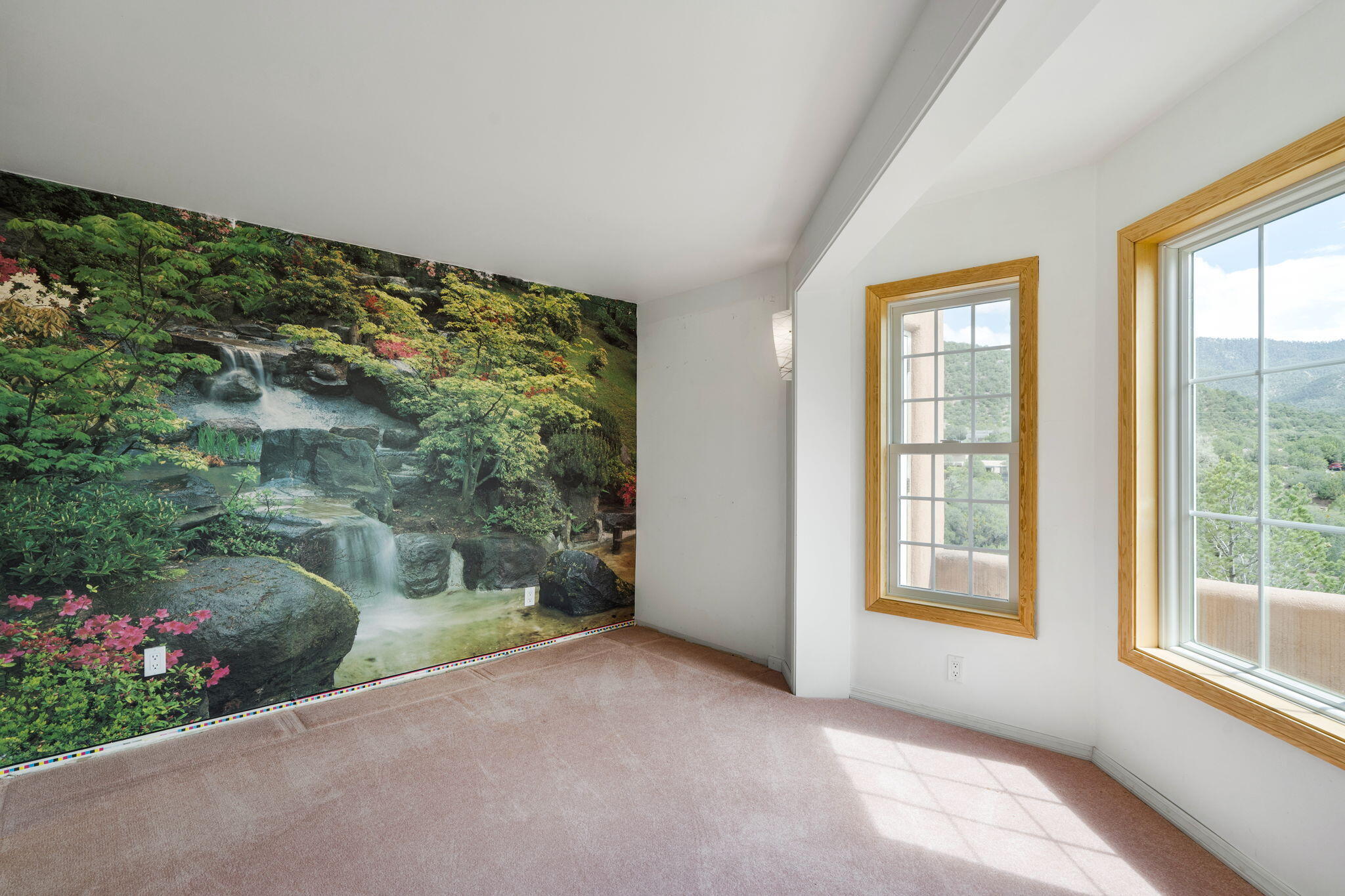 Photo 6 — 689 Gonzales Road