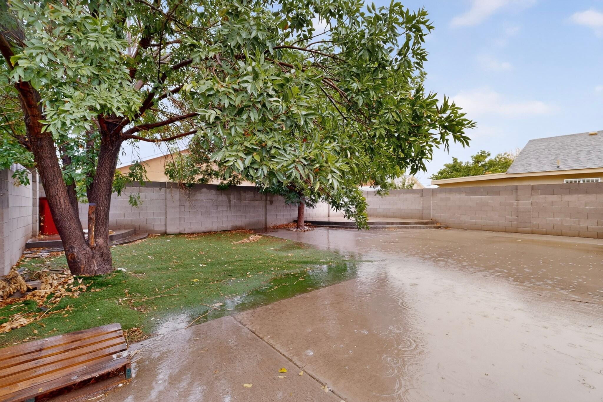 Photo 5 — 7405 Desert Canyon Place SW