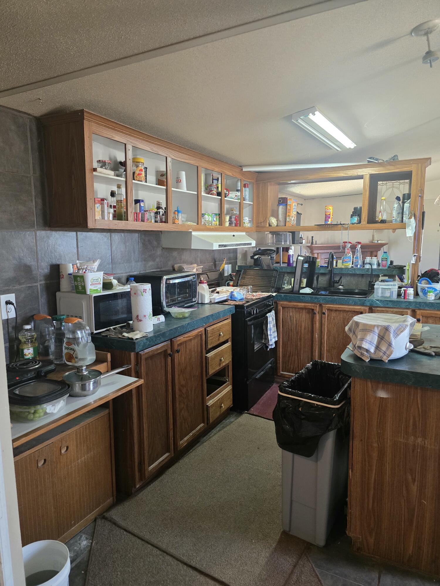 Photo 10 — 3 Barbara Court