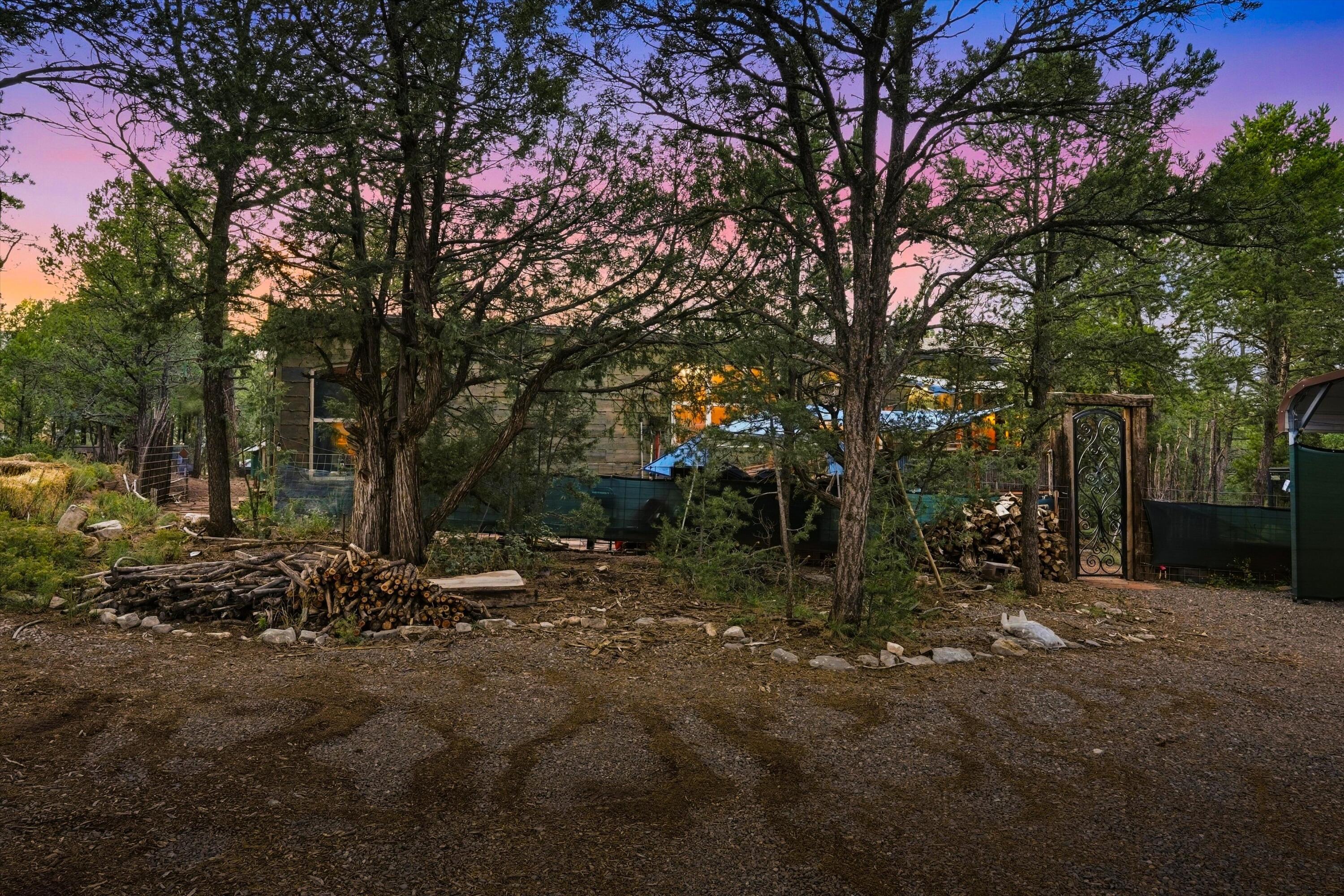 Photo 2 — 24 Easy Street