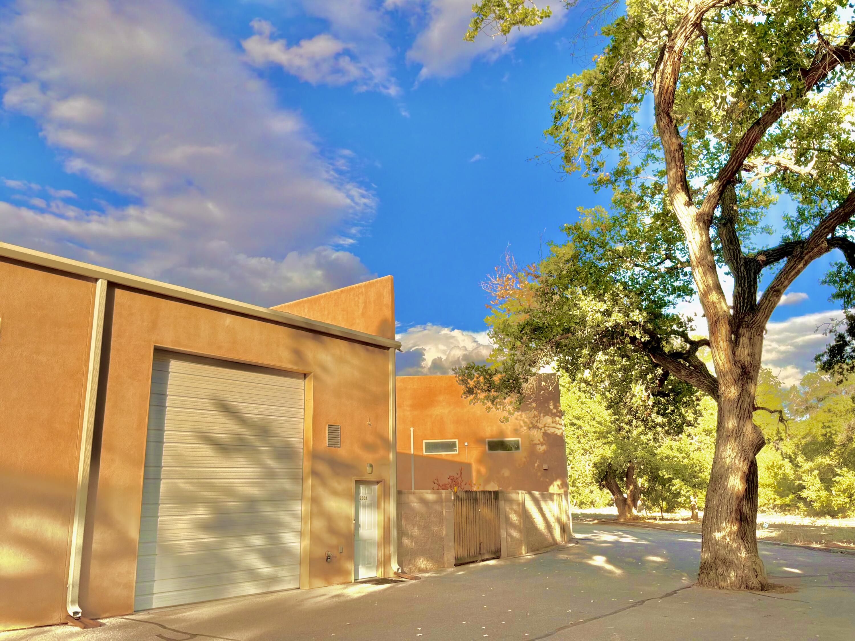 Photo 13 — 230 Cynthia Court NW A
