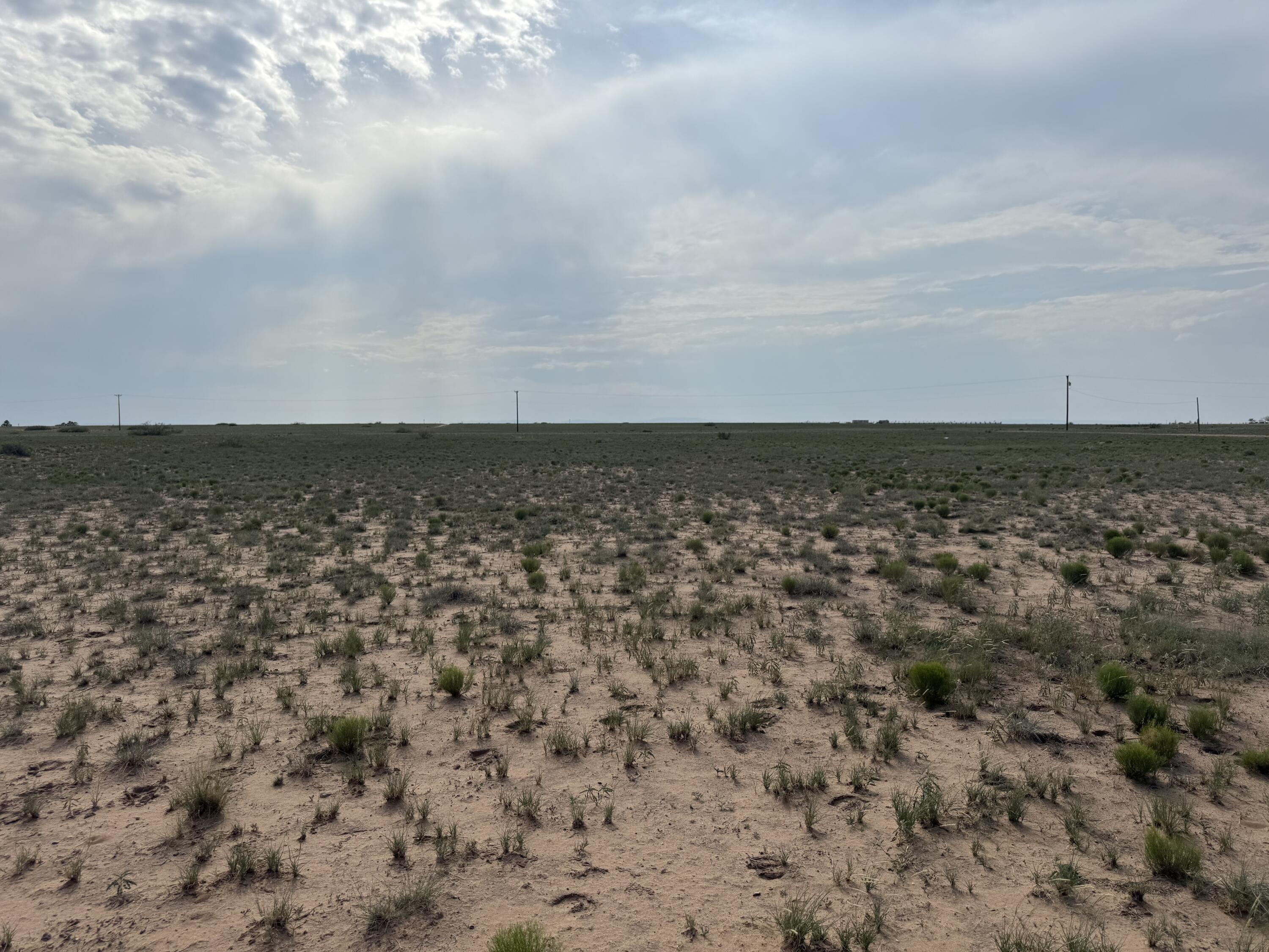 Photo 19 — Lot 153 Harrison Road