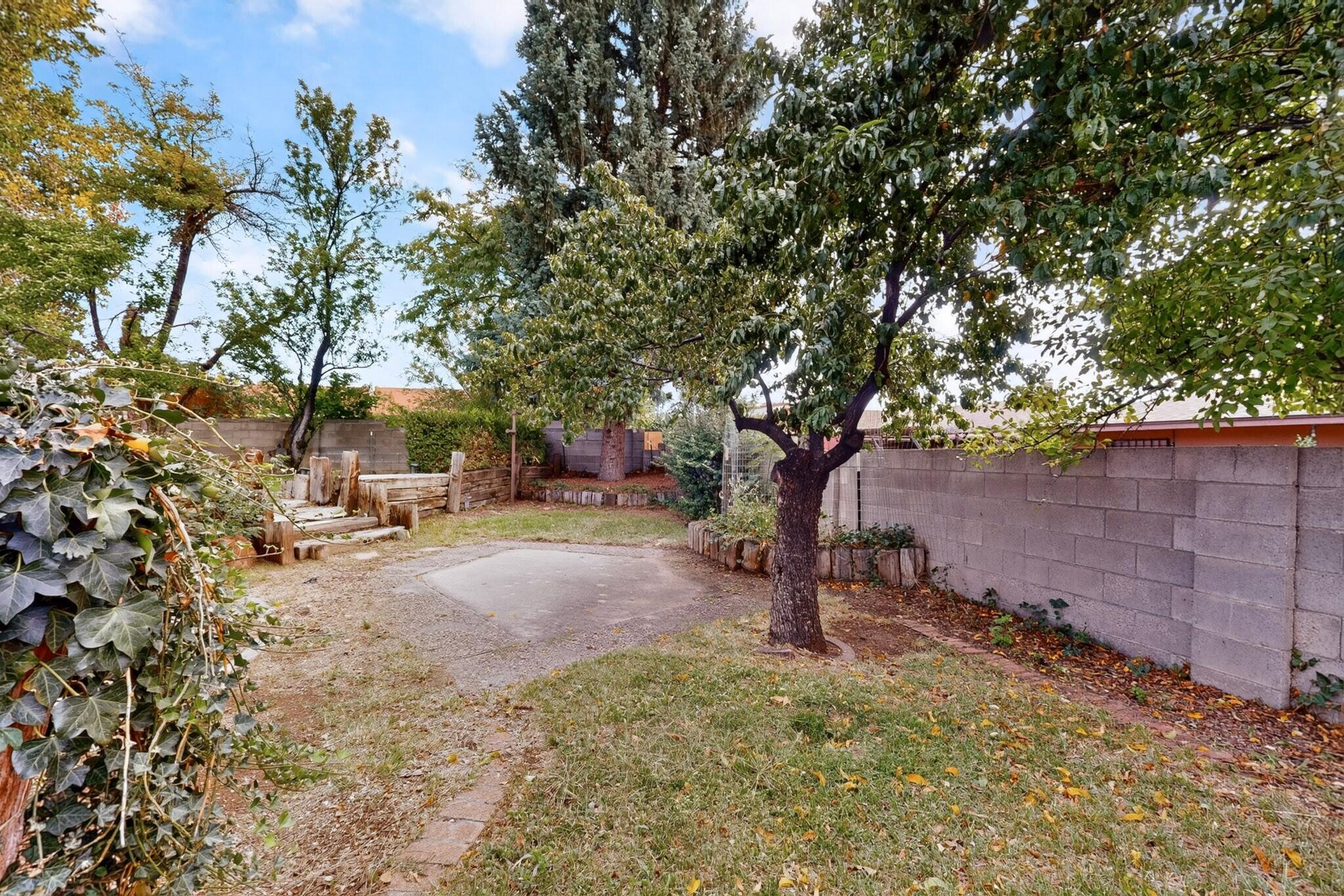Photo 3 — 12208 Lexington Avenue NE