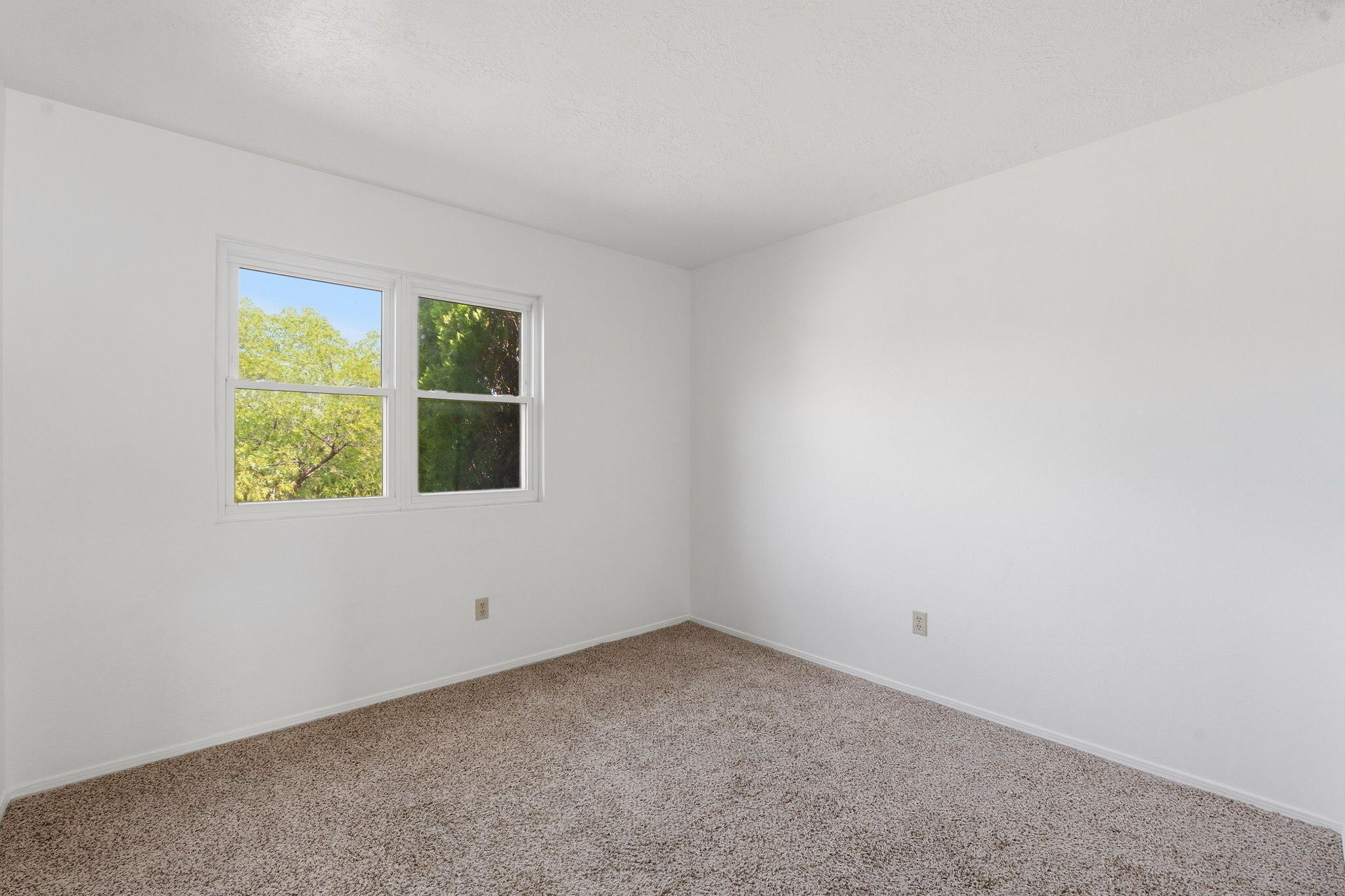Photo 7 — 295 Quixote Drive SE