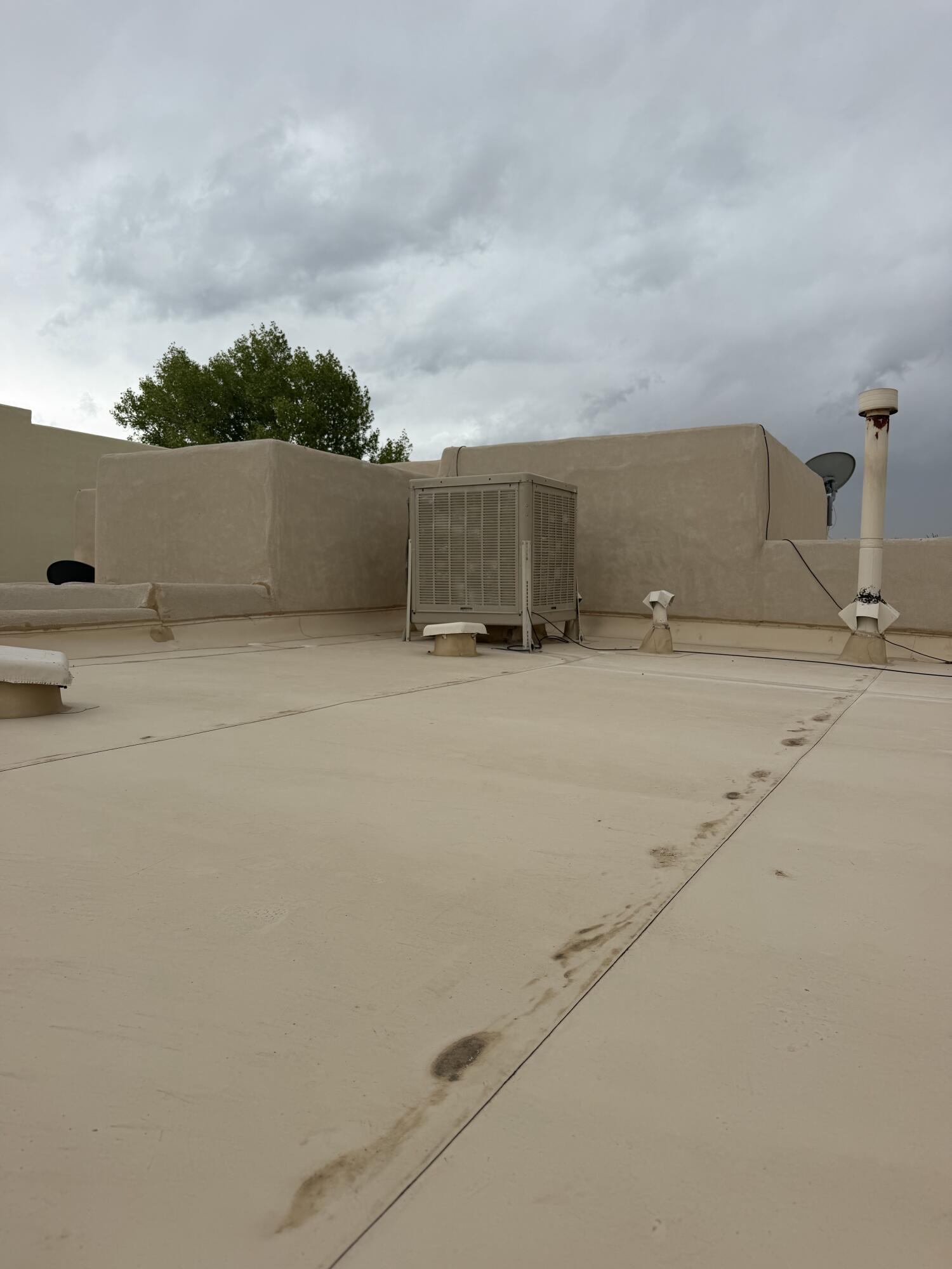Photo 5 — 10819 Chicobush Drive NW