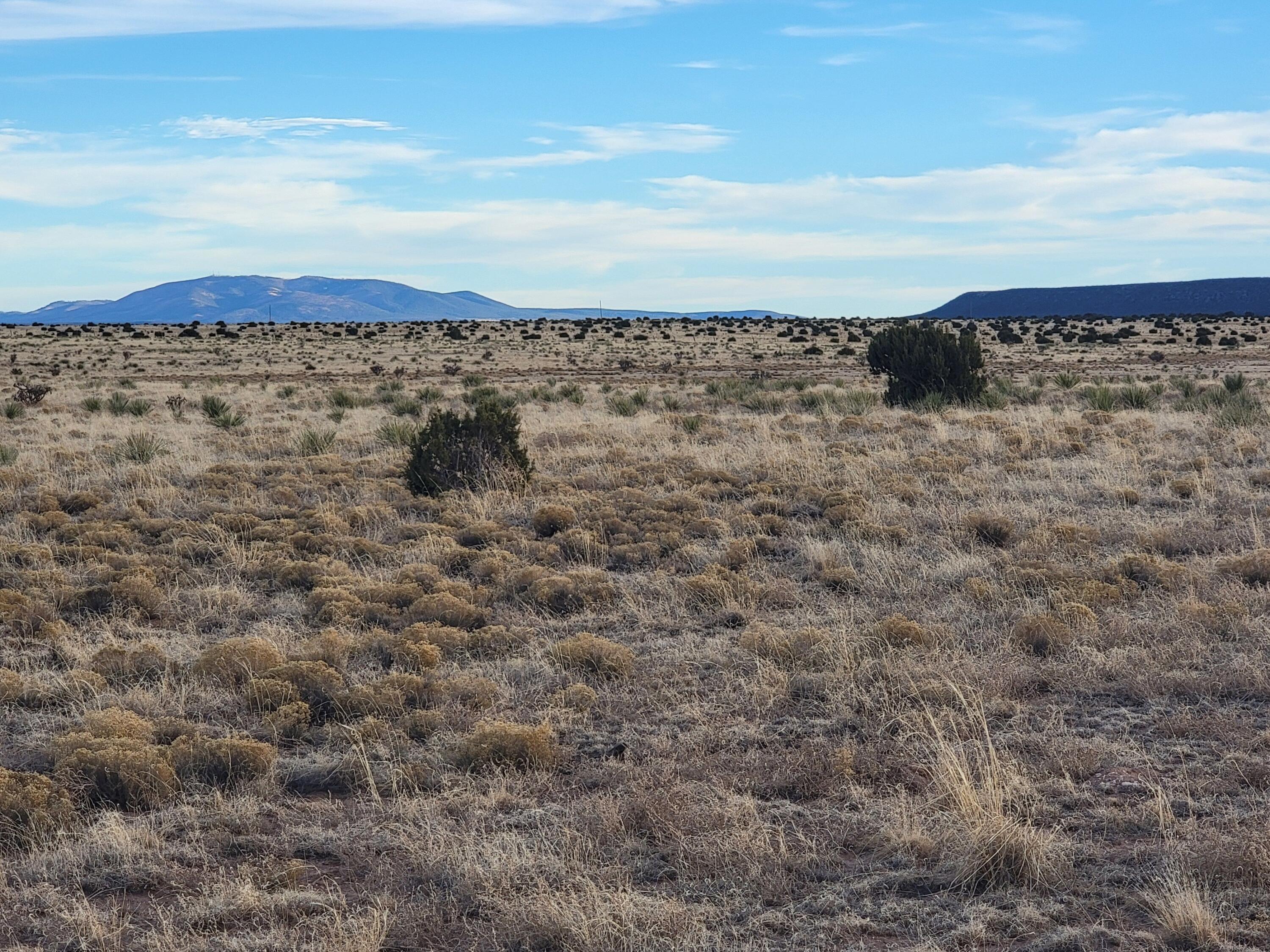Photo 2 — 00 Roundtop Road North