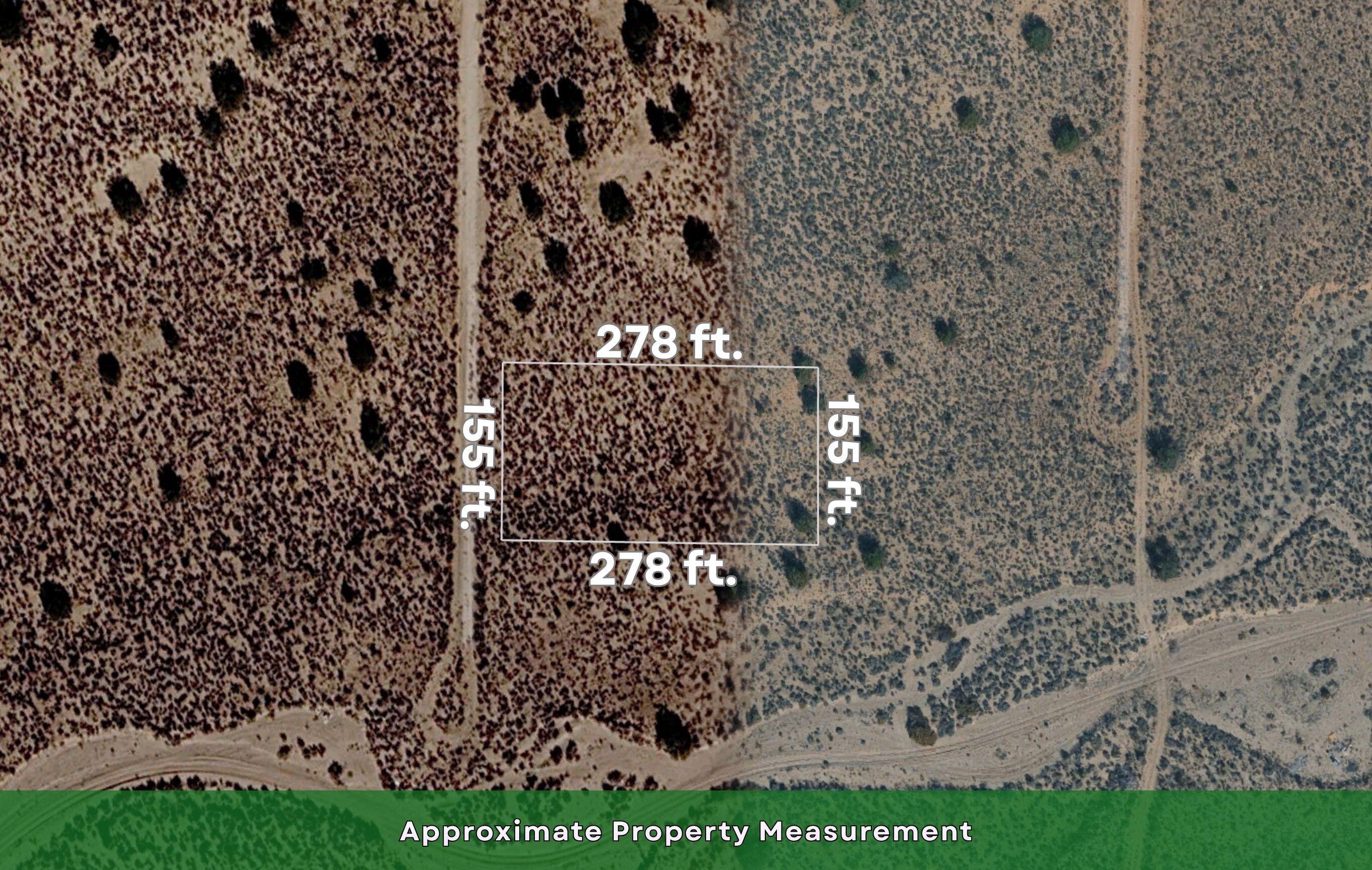 Photo 3 —  29th blk:16 lot:33 Street SW