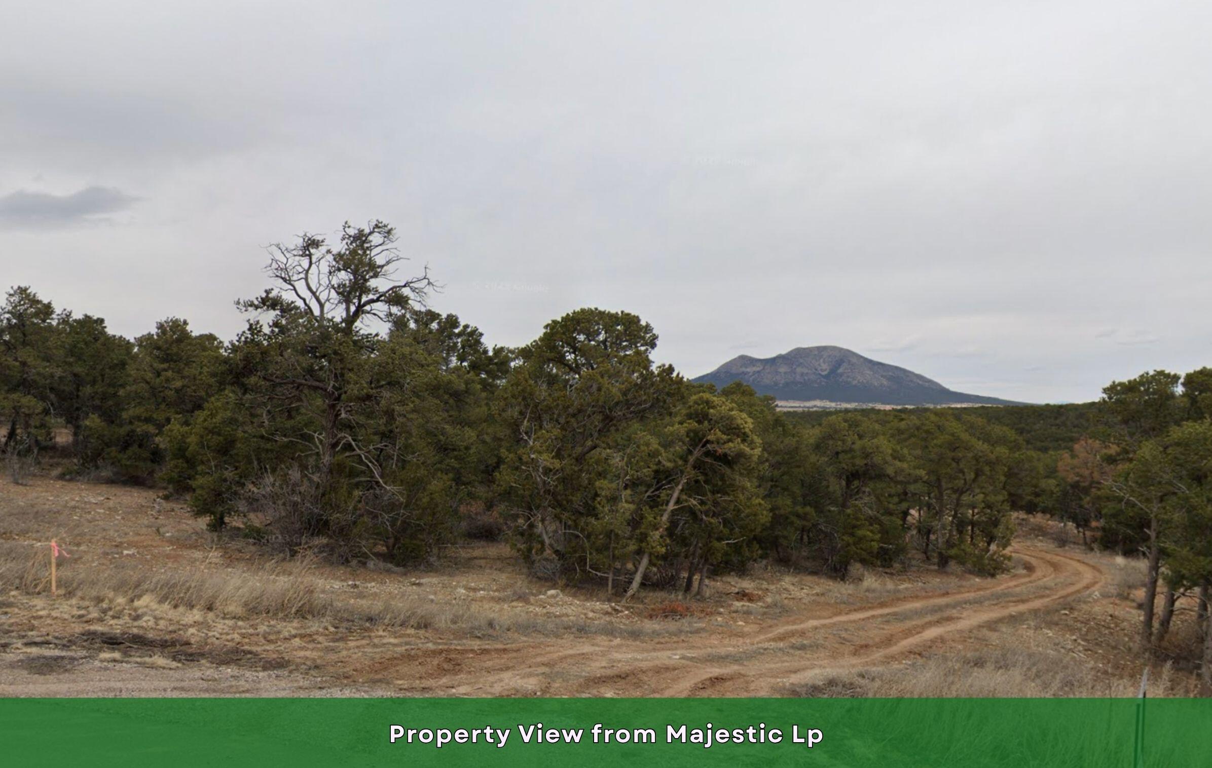 Photo 3 — 26 Majestic Loop