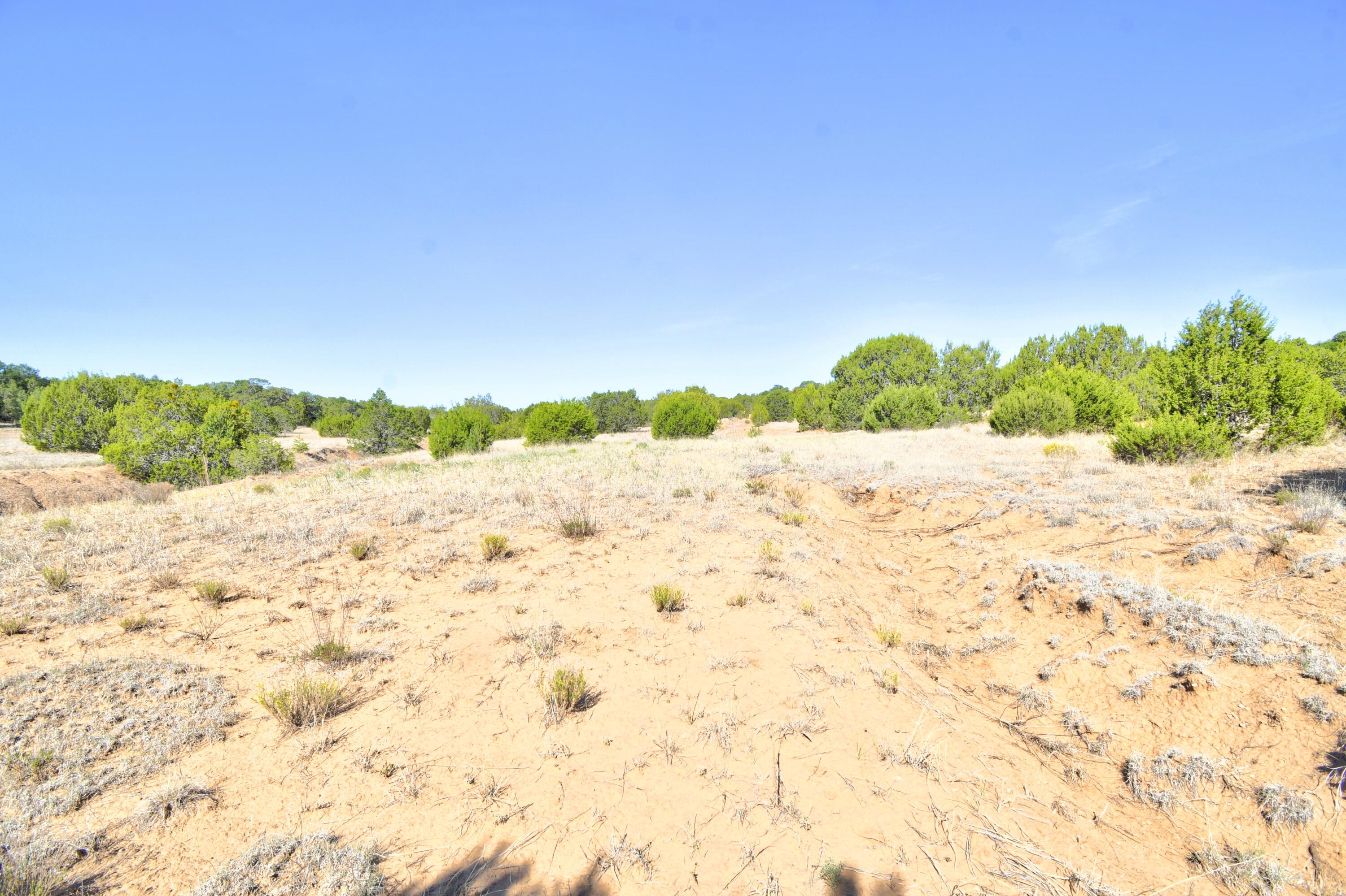 Photo 2 — 22 Candido Drive 25