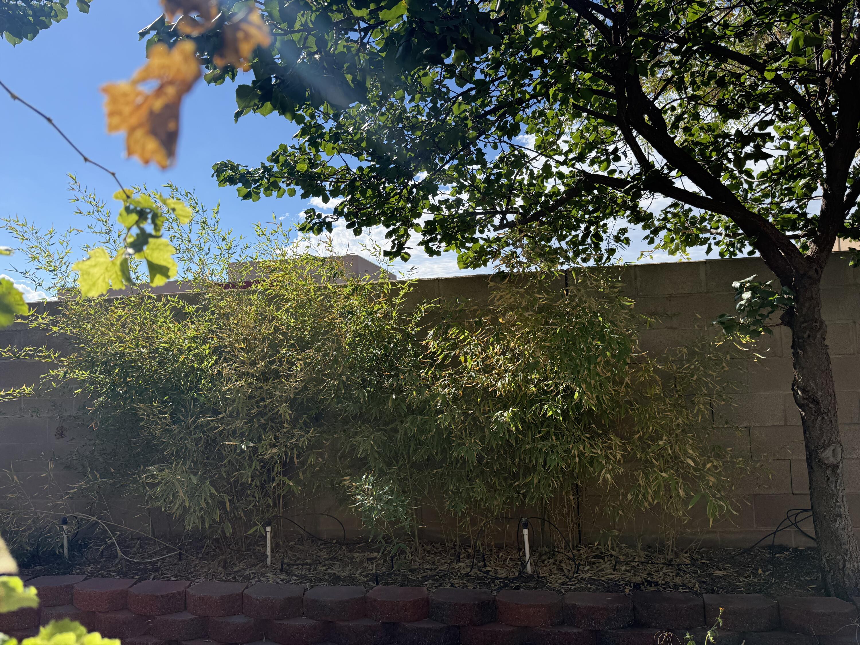 Photo 8 — 9228 Bluewood Lane NE