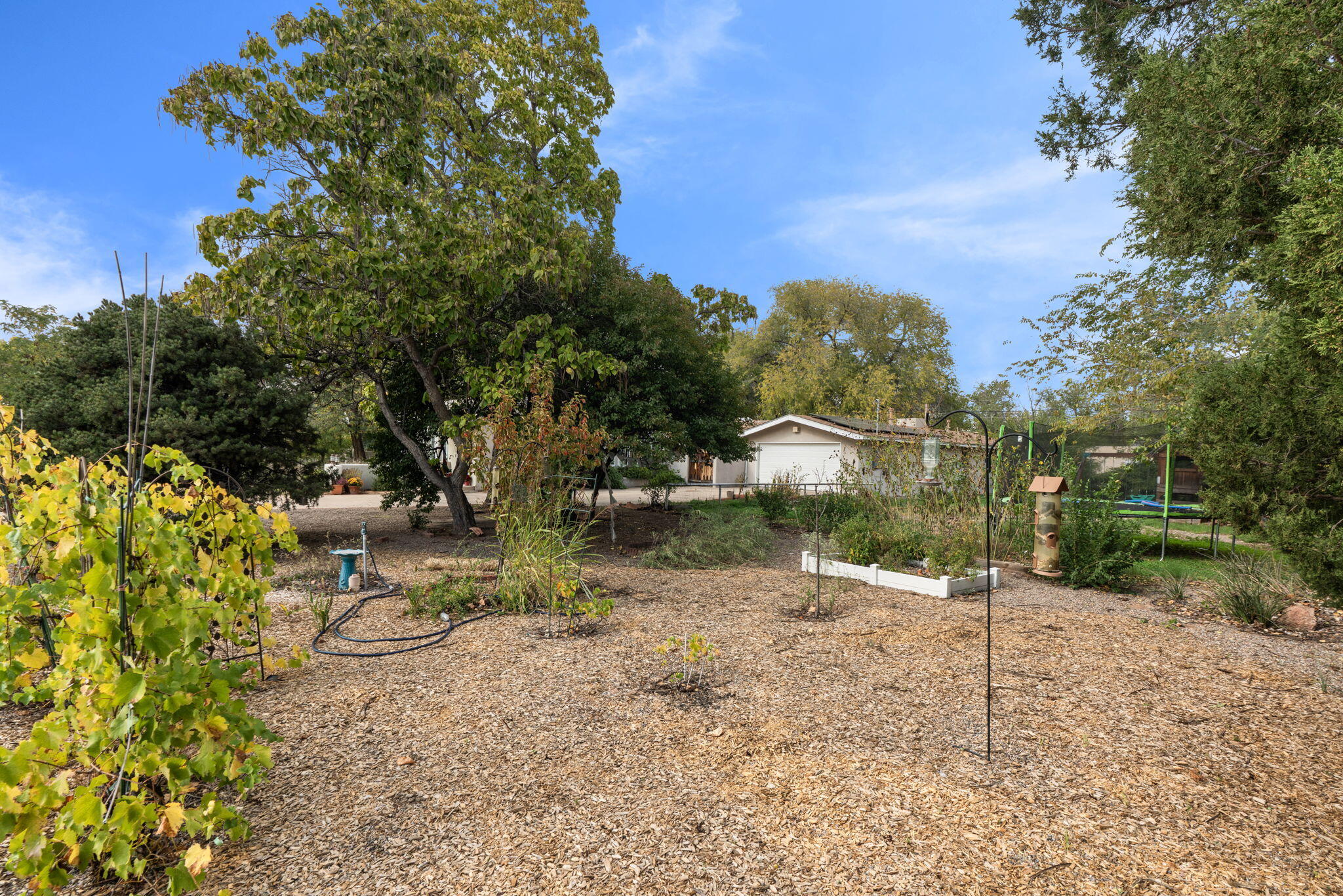Photo 4 — 3123 Spur Court NW