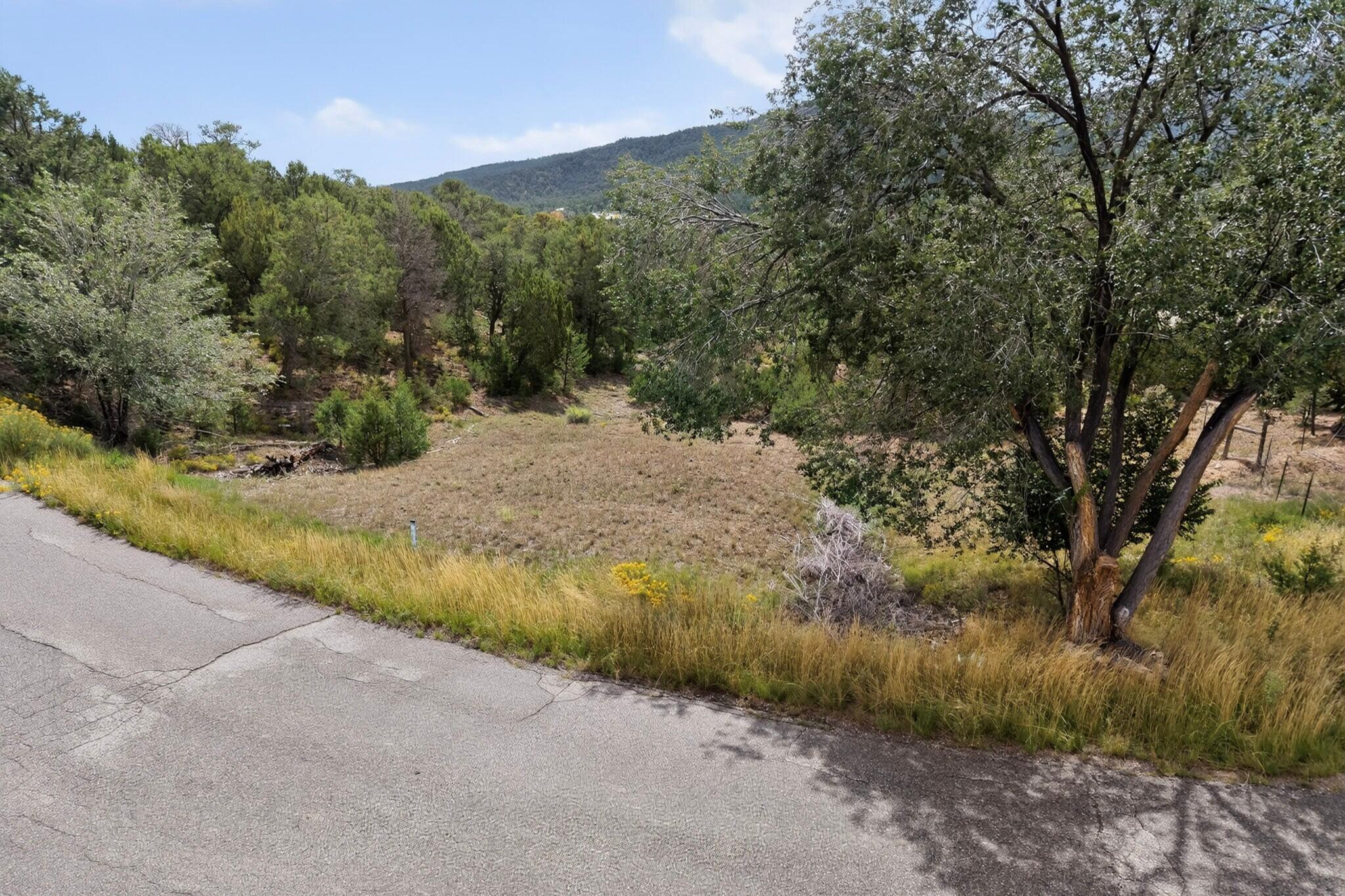 51 Vista Bonita Drive, Sandia Park, NM 87047