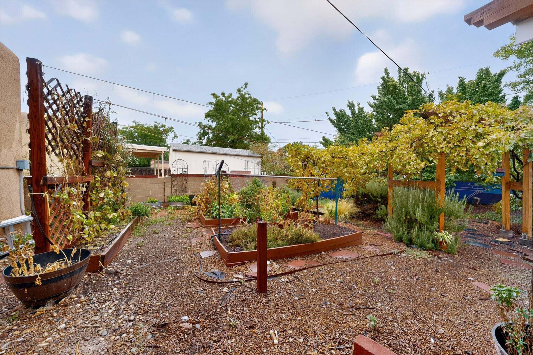 Photo 6 — 1409 Adams Street NE