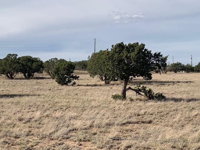 10 Moonlight Meadows, Edgewood, NM 87015