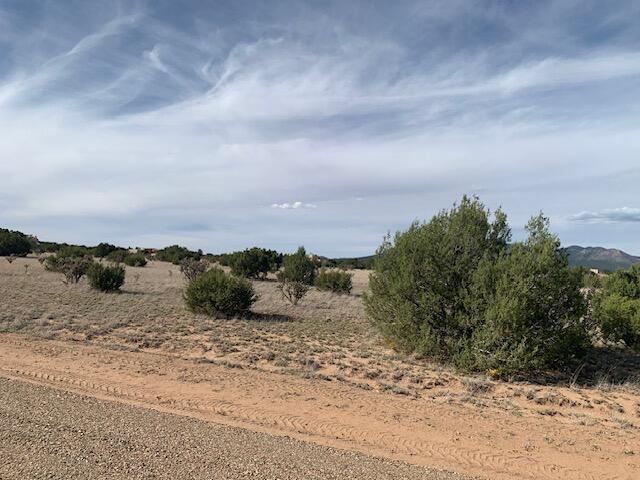 Photo 3 — 22 Kirk Lane