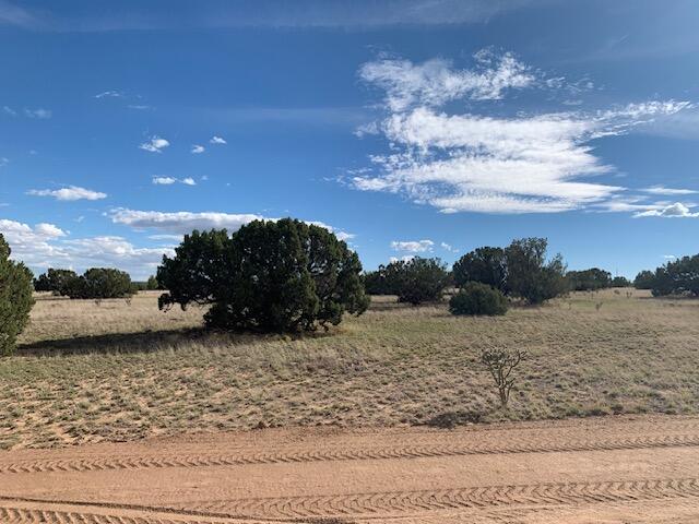 Photo 2 — 28 Kirk Lane