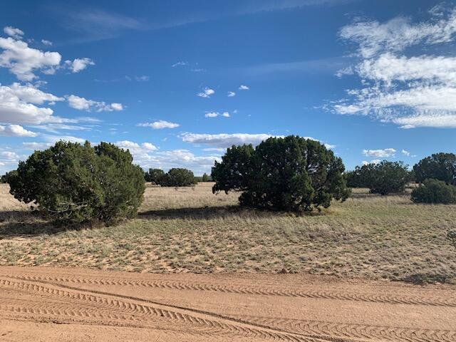 Photo 2 — 34 Kirk Lane