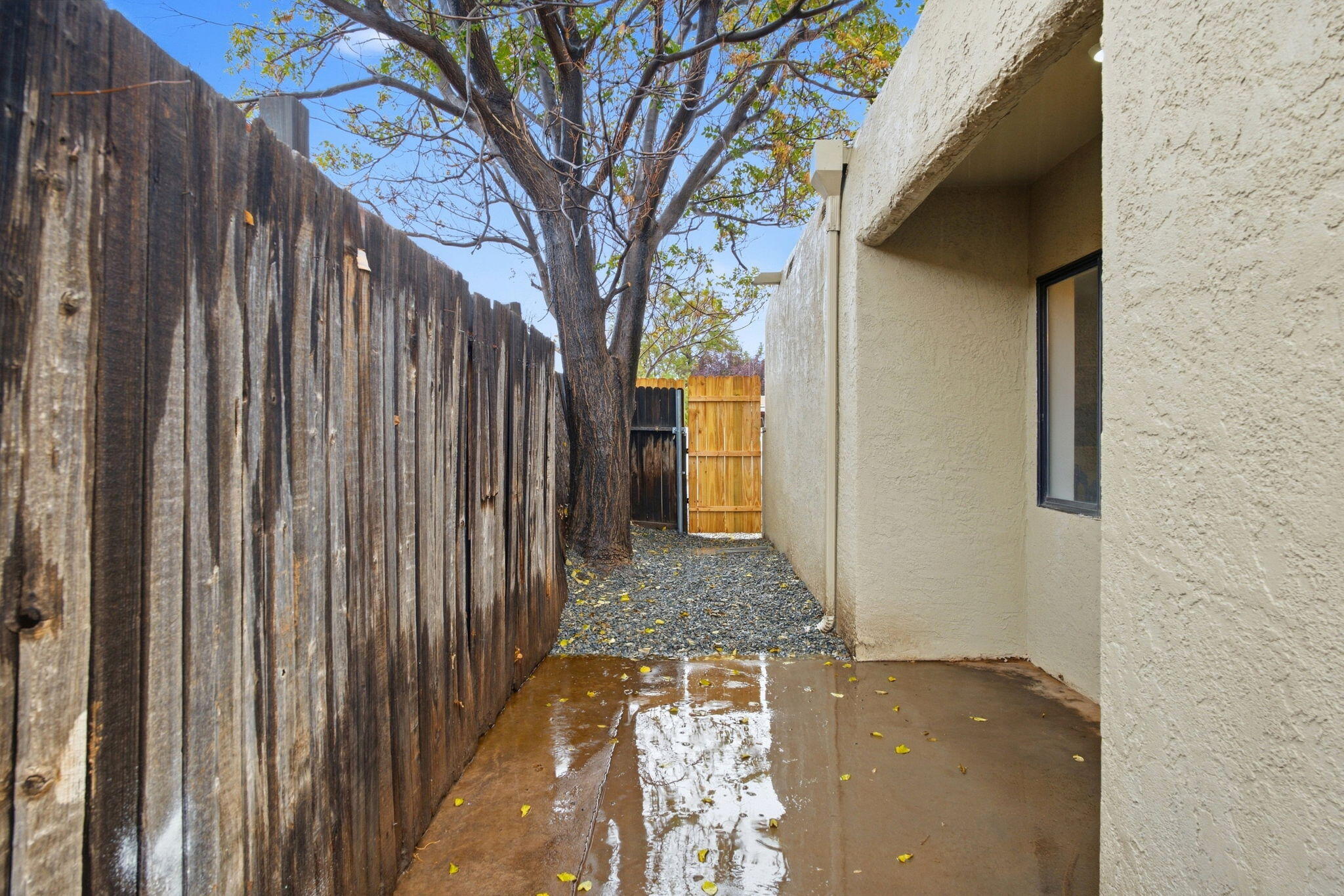 Photo 2 — 5127 Orion Avenue NW