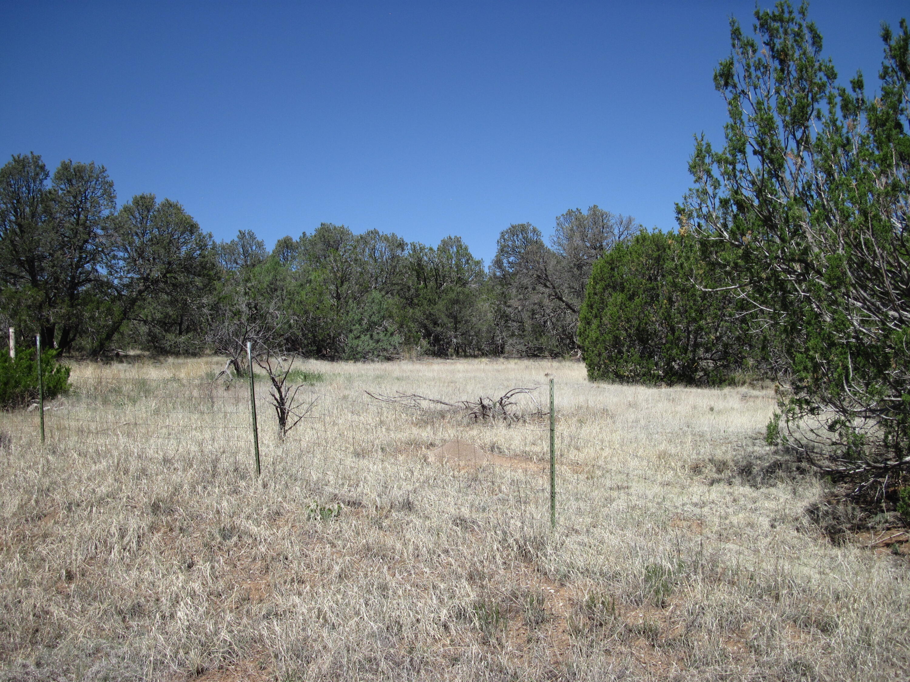 152 Jesse James Road