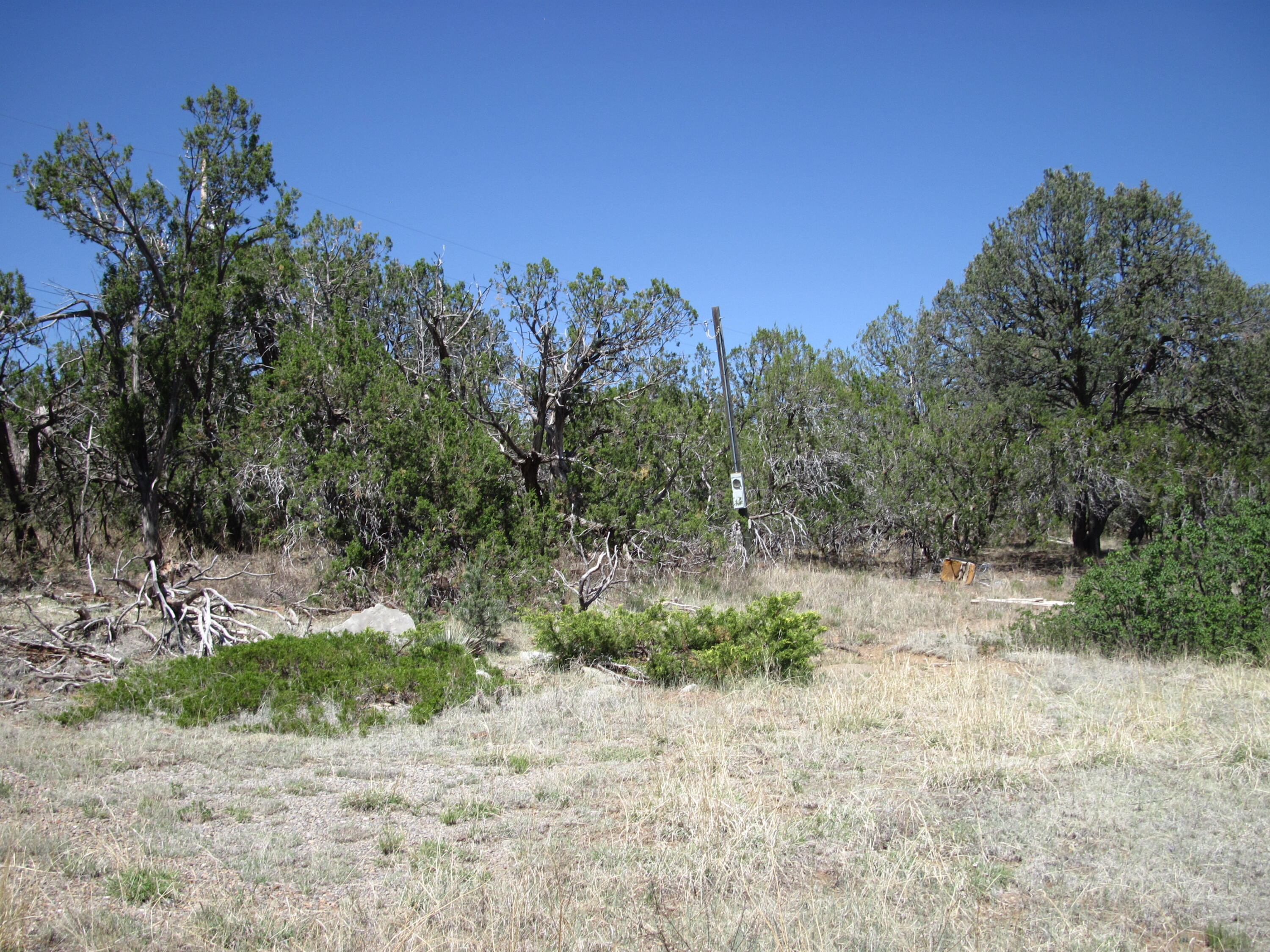 Photo 2 — 152 Jesse James Road