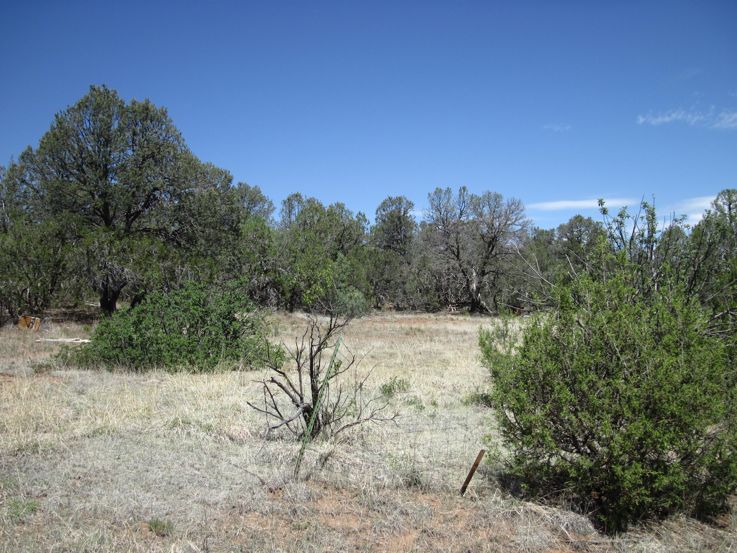 Photo 3 — 152 Jesse James Road