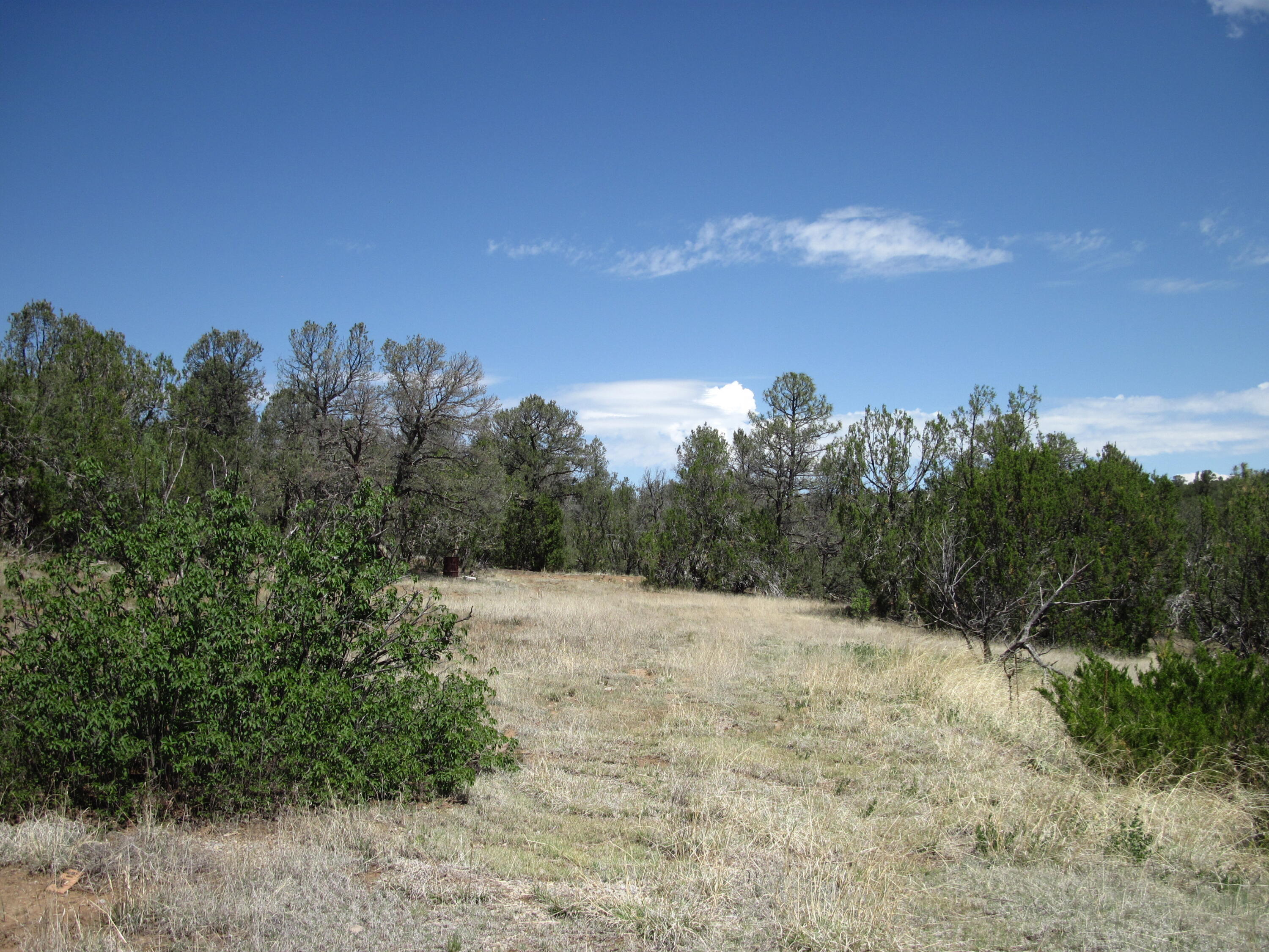 Photo 4 — 152 Jesse James Road