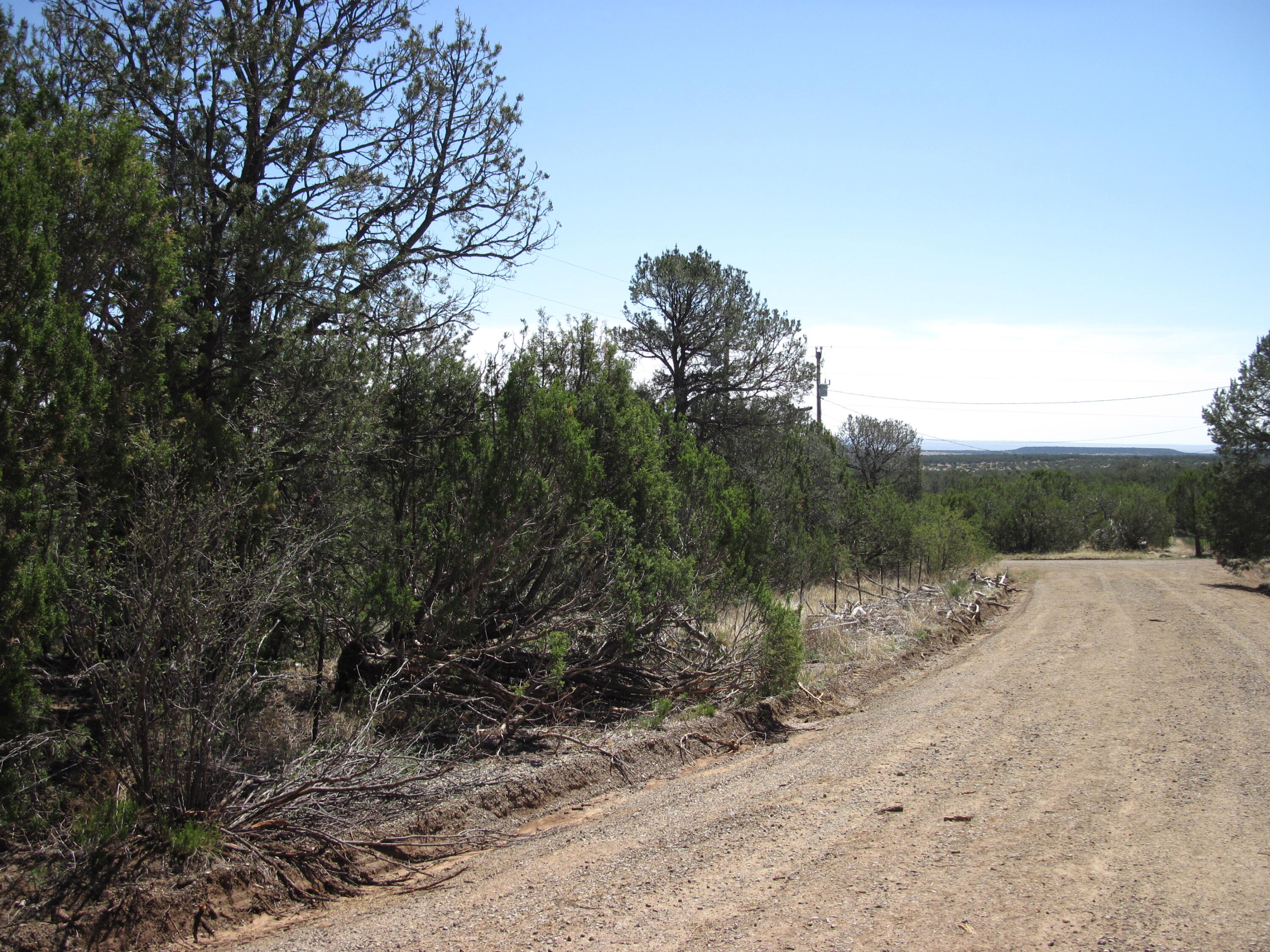 Photo 6 — 152 Jesse James Road