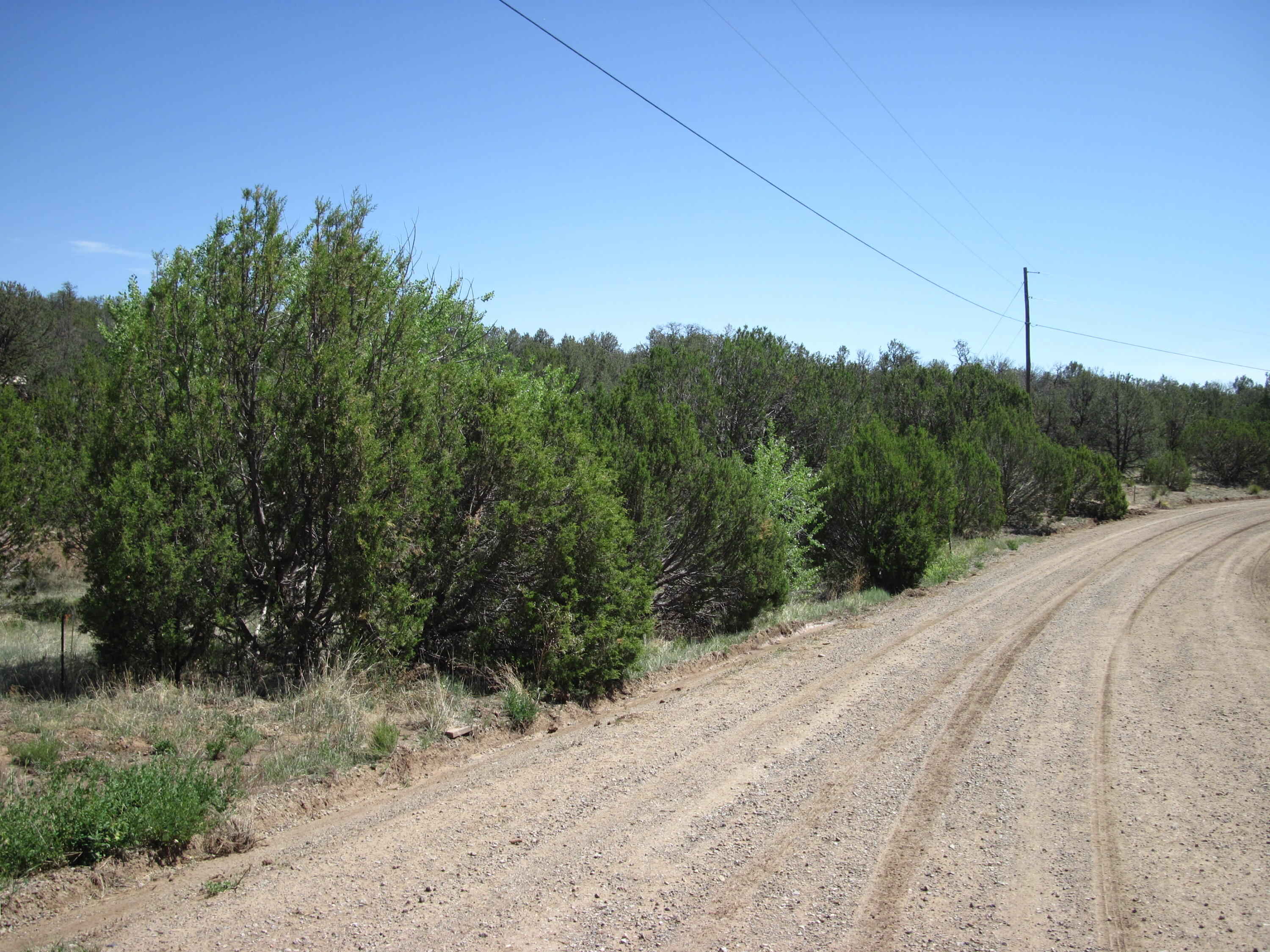 Photo 10 — 152 Jesse James Road