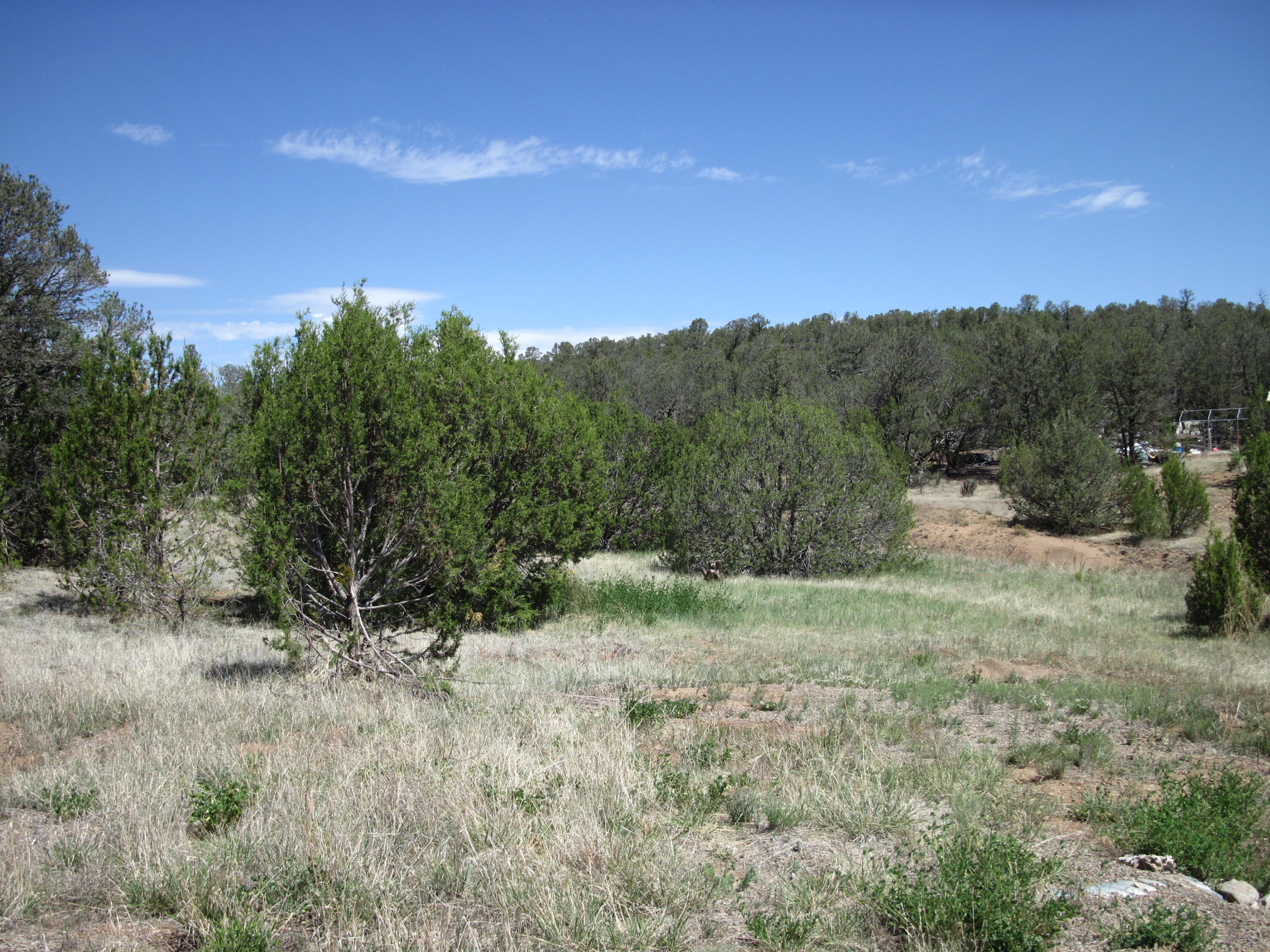Photo 11 — 152 Jesse James Road